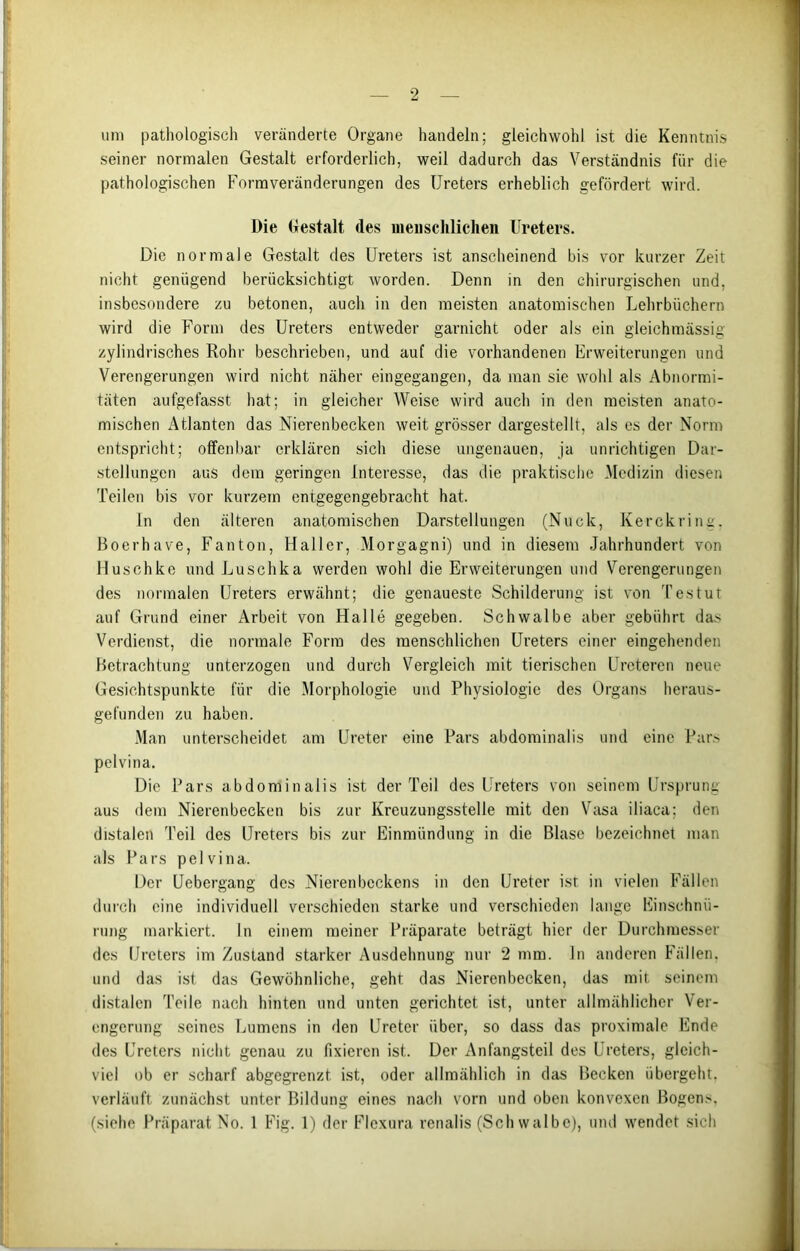 um pathologisch veränderte Organe handeln; gleichwohl ist die Kenntnis seiner normalen Gestalt erforderlich, weil dadurch das Verständnis für die pathologischen Formveränderungen des Ureters erheblich gefördert wird. Die Gestalt des menschlichen Ureters. Die normale Gestalt des Ureters ist anscheinend bis vor kurzer Zeit nicht genügend berücksichtigt worden. Denn in den chirurgischen und, insbesondere zu betonen, auch in den meisten anatomischen Lehrbüchern wird die Form des Ureters entweder garnicht oder als ein gleichmässig zylindrisches Rohr beschrieben, und auf die vorhandenen Erweiterungen und Verengerungen wird nicht näher eingegangen, da man sie wohl als Abnormi- täten aufgefasst hat; in gleicher Weise wird auch in den meisten anato- mischen Atlanten das Nierenbecken weit grösser dargestellt, als es der Norm entspricht; offenbar erklären sich diese ungenauen, ja unrichtigen Dar- stellungen aus dem geringen Interesse, das die praktische Medizin diesen Teilen bis vor kurzem entgegengebracht hat. In den älteren anatomischen Darstellungen (Nuck, Kerckring. Boerhave, Fanton, Haller, Morgagni) und in diesem Jahrhundert von Husch ko und Luschka werden wohl die Erweiterungen und Verengerungen des normalen Ureters erwähnt; die genaueste Schilderung ist von T es tut auf Grund einer Arbeit von Halle gegeben. Schwalbe aber gebührt das Verdienst, die normale Form des menschlichen Ureters einer eingehenden Betrachtung unterzogen und durch Vergleich mit tierischen Urcteren neue Gesichtspunkte für die Morphologie und Physiologie des Organs heraus- gefunden zu haben. Man unterscheidet am Ureter eine Pars abdominalis und eine Pars pelvina. Die Pars abdominalis ist der Teil des Ureters von seinem Ursprung aus dem Nierenbecken bis zur Kreuzungsstelle mit den Vasa iliaca; den distalen Teil des Ureters bis zur Einmündung in die Blase bezeichnet man als Pars pelvina. Der Uebergang des Nierenbeckens in den Ureter ist in vielen Fällen durch eine individuell verschieden starke und verschieden lange Einschnü- rung markiert. In einem meiner Präparate beträgt hier der Durchmesser des Ureters im Zustand starker Ausdehnung nur 2 mm. ln anderen Fällen, und das ist das Gewöhnliche, geht das Nierenbecken, das mit seinem distalen Teile nach hinten und unten gerichtet ist, unter allmählicher Ver- engerung seines Lumens in den Ureter über, so dass das proximale Ende des Ureters nicht genau zu fixieren ist. Der Anfangsteil des Ureters, gleich- viel ob er scharf abgegrenzt, ist, oder allmählich in das Becken übergeht, verläuft zunächst unter Bildung eines nach vorn und oben konvexen Bogens, (siehe Präparat No. 1 Fig. 1) der Flcxura renalis (Schwalbe), und wendet sich