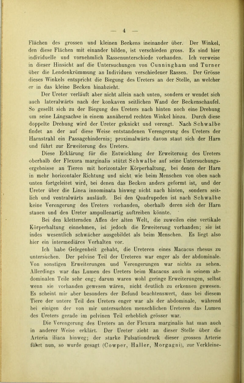 Flächen des grossen und kleinen Beckens ineinander über. Der Winkel, den diese Flächen mit einander bilden, ist verschieden gross. Es sind hier individuelle und vornehmlich Rassenunterschiede vorhanden. Ich verweise in dieser Hinsicht auf die Untersuchungen von Cunningham und Turner über die Lendenkrümmung an Individuen verschiedener Rassen. Der Grösse dieses Winkels entspricht die Biegung des Ureters an der Stelle, an welcher er in das kleine Becken hinabzieht. Der Ureter verläuft aber nicht allein nach unten, sondern er wendet sich auch lateralwärts nach der konkaven seitlichen Wand der Beckenschaufel. So gesellt sich zu der Biegung des Ureters nach hinten noch eine Drehung um seine Längsachse in einem annähernd rechten Winkel hinzu. Durch diese doppelte Drehung wird der Ureter geknickt und verengt. Nach Schwalbe findet an der auf diese Weise entstandenen Verengerung des Ureters der Harnstrahl ein Passagehindernis; proximalwärts davon staut sich der Harn und führt zur Erweiterung des Ureters. Diese Erklärung für die Entwicklung der Erweiterung des Ureters oberhalb der Flexura marginalis stützt Schwalbe auf seine Untersuchungs- ergebnisse an Tieren mit horizontaler Körperhaltung, bei denen der Harn in mehr horizontaler Richtung und nicht wie beim Menschen von oben nach unten fortgeleitet wird, bei denen das Becken anders geformt ist, und der Ureter über die Linea innominata hinweg nicht nach hinten, sondern seit- lich und ventralwärts ausläuft. Bei den Quadrupeden ist nach Schwalbe keine Verengerung des Ureters vorhanden, oberhalb deren sich der Harn stauen und den Ureter ampullenartig auftreiben könnte. Bei den kletternden Affen der alten Welt, die zuweilen eine vertikale Körperhaltung einnehmen, ist jedoch die Erweiterung vorhanden; sie ist indes wesentlich schwächer ausgebildet als beim Menschen. Es liegt also hier ein intermediäres Verhalten vor. Ich habe Gelegenheit gehabt, die Ureteren eines Macacus rhesus zu untersuchen. Der pelvine Teil der Ureteren war enger als der abdominale. Von sonstigen Erweiterungen und Verengerungen war nichts zu sehen. Allerdings war das Lumen des Ureters beim Macacus auch in seinem ab- dominalen Teile sehr eng; darum waren wohl geringe Erweiterungen, selbst wenn sie vorhanden gewesen wären, nicht deutlich zu erkennen gewesen. Es scheint mir aber besonders der Befund beachtenswert, dass bei diesem Tiere der untere Teil des Ureters enger war als der abdominale, während bei einigen der von mir untersuchten menschlichen Ureteren das Lumen des Ureters gerade im pelvincn Teil erheblich grösser war. Die Verengerung des Ureters an der Flexura marginalis hat man auch in anderer Weise erklärt. Der Ureter zieht an dieser Stelle über die Arteria iliaca hinweg; der starke Pulsationdruck dieser grossen Arterie führt nun, so wurde gesagt (Cowper, Haller, Morgagni), zur Verkleinc-