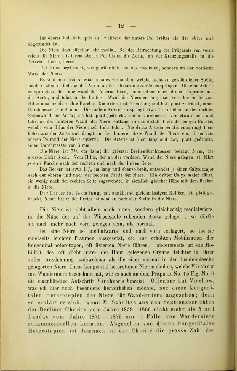 Ihr oberer Fol läuft spitz zu, während der untere Pol breiter als der obere und abgerundet ist. Die Niere liegt offenbar sehr medial. Bei der Betrachtung des Präparats von vorne reicht die Niere mit ihrem oberen Pol bis an die Aorta, an der Kreuzungsstelle in die Arteriae iliacae, heran. Der Hilus liegt nicht, wie gewöhnlich, an der medialen, sondern an der vorderen Wand der Niere. Es sind hier drei Arteriae renales vorhanden, welche nicht an gewöhnlicher Stelle, sondern abnorm tief aus der Aorta, an ihrer Kreuzungsstelle entspringen. Die eine Arterie entspringt an der Innenwand der Arteria iliaca, unmittelbar nach ihrem Ursprung aus der Aorta, und führt an der hinteren Wand der Niere entlang nach vorn hin in die vom Hilus abziehende rechte Furche. Die Arterie ist 4 cm lang und hat, platt gedrückt, einen Durchmesser von 4 mm. Die andere Arterie entspringt etwa 1 cm höher an der rechten Seitenwand der Aorta; sie hat, platt gedrückt, einen Durchmesser von etwa 5 mm und führt an der hinteren Wand der Niere entlang in das distale Ende derjenigen Furche, welche vom Hilus der Niere nach links führt. Die dritte Arteria renalis entspringt 1 cm höher aus der Aorta und dringt in die hintere obere Wand der Niere ein, 1 cm vom oberen Polrand der Niere entfernt. Die Arterie ist 3 cm lang und hat, platt gedrückt, einen Durchmesser von 3 mm. Die Niere ist 71/, cm lang; ihr grösster Breitendurchmesser beträgt 5 cm, die grösste Dicke 3 cm. Vom Hilus, der an der vorderen Wand der Niere gelegen ist, führt je eine Furche nach der rechten und nach der linken Seite. Das Becken ist etwa iy2 cm lang und ebenso breit, entsendet je einen Calyx major nach der oberen und nach der rechten Partie der Niere. Ein dritter Calyx major führt, ein wenig nach der rechten Seite zugewendet, in ziemlich gleicher Höhe mit dem Becken in die Niere. Der Ureter ist 14 cm lang, mit annähernd gleichmässigem Kaliber, ist, platt ge- drückt, 5 mm breit; der Ureter mündet an normaler Stelle in die Niere. Die Niere ist nicht allein nach unten, sondern gleichzeitig medialwärts, in die Nähe der auf der Wirbelsäule ruhenden Aorta gelagert; so dürfte sie auch mehr nach vorn gelegen sein, als normal. Ist eine Niere so medialwärts und nach vorn verlagert, so ist sie einerseits leichter Traumen ausgesetzt, die zur erhöhten Mobilisation der kongenital-heterotopen, oft fixierten Niere führen ; andererseits ist die Mo- bilität des oft dicht unter der Haut gelegenen Organs leichter in ihrer vollen Ausdehnung nachweisbar als die einer normal in der Lendenniesche gelagerten Niere. Diese kongenital heterotopen Nieren sind es, welcheVirchow mit Wanderniere bezeichnet hat, wie es auch an dem Präparat No. 15 Fig. No. 6 die eigenhändige Aufschrift Virchow’s beweist. Offenbar hat Virchow, was ich hier noch besonders hervorheben möchte, nur diese kongeni- talen Heterotopien der Niere für Wanderniere angesehen; denn so erklärt es sich, wenn M. Schultze aus den Sektionsberichten der Berliner Charite vom Jahre 1859—1866 nicht mehr als 5 und Landau vom Jahre 1870 — 1879 nur 4 Fälle von Wanderniere zusammenstellen konnten. Abgesehen von Riesen kongenitalen Heterotopien ist demnach in der Charite die grosse Zahl der
