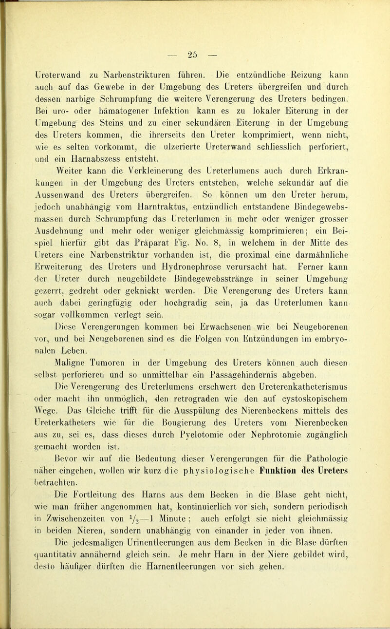 Ureterwand zu Narbenstrikturen führen. Die entzündliche Reizung kann auch auf das Gewebe in der Umgebung des Ureters übergreifen und durch dessen narbige Schrumpfung die weitere Verengerung des Ureters bedingen. Bei uro- oder hämatogener Infektion kann es zu lokaler Eiterung in der Umgebung des Steins und zu einer sekundären Eiterung in der Umgebung des Ureters kommen, die ihrerseits den Ureter komprimiert, wenn nicht, wie es selten vorkommt, die ulzerierte Ureterwand schliesslich perforiert, und ein Harnabszess entsteht. Weiter kann die Verkleinerung des Ureterlumens auch durch Erkran- kungen in der Umgebung des Ureters entstehen, welche sekundär auf die Aussenwand des Ureters übergreifen. So können um den Ureter herum, jedoch unabhängig vom Harntraktus, entzündlich entstandene ßindegewebs- massen durch Schrumpfung das Ureterlumen in mehr oder weniger grosser Ausdehnung und mehr oder weniger gleichmässig komprimieren; ein Bei- spiel hierfür gibt das Präparat Fig. No. 8, in welchem in der Mitte des Ureters eine Narbenstriktur vorhanden ist, die proximal eine darmähnliche Erweiterung des Ureters und Hydronephrose verursacht hat. Ferner kann der Ureter durch neugebildete Bindegewebsstränge in seiner Umgebung gezerrt, gedreht oder geknickt werden. Die Verengerung des Ureters kann auch dabei geringfügig oder hochgradig sein, ja das Ureterlumen kann sogar vollkommen verlegt sein. Diese Verengerungen kommen bei Erwachsenen wie bei Neugeborenen vor, und bei Neugeborenen sind es die Folgen von Entzündungen im embryo- nalen Leben. Maligne Tumoren in der Umgebung des Ureters können auch diesen selbst perforieren und so unmittelbar ein Passagehindernis abgeben. Die Verengerung des Ureterlumens erschwert den Ureterenkatheterismus oder macht ihn unmöglich, den retrograden wie den auf cystoskopischem Wege. Das Gleiche trifft für die Ausspülung des Nierenbeckens mittels des Ureterkatheters wie für die Bougierung des Ureters vom Nierenbecken aus zu, sei es, dass dieses durch Pyelotomie oder Nephrotomie zugänglich gemacht worden ist. Bevor wir auf die Bedeutung dieser Verengerungen für die Pathologie näher eingehen, wollen wir kurz die physiologische Funktion des Ureters betrachten. Die Fortleitung des Harns aus dem Becken in die Blase geht nicht, wie man früher angenommen hat, kontinuierlich vor sich, sondern periodisch in Zwischenzeiten von 1/2—1 Minute ; auch erfolgt sie nicht gleichmässig in beiden Nieren, sondern unabhängig von einander in jeder von ihnen. Die jedesmaligen Urmentleerungen aus dem Becken in die Blase dürften quantitativ annähernd gleich sein. Je mehr Harn in der Niere gebildet wird, desto häufiger dürften die Harnentleerungen vor sich gehen.