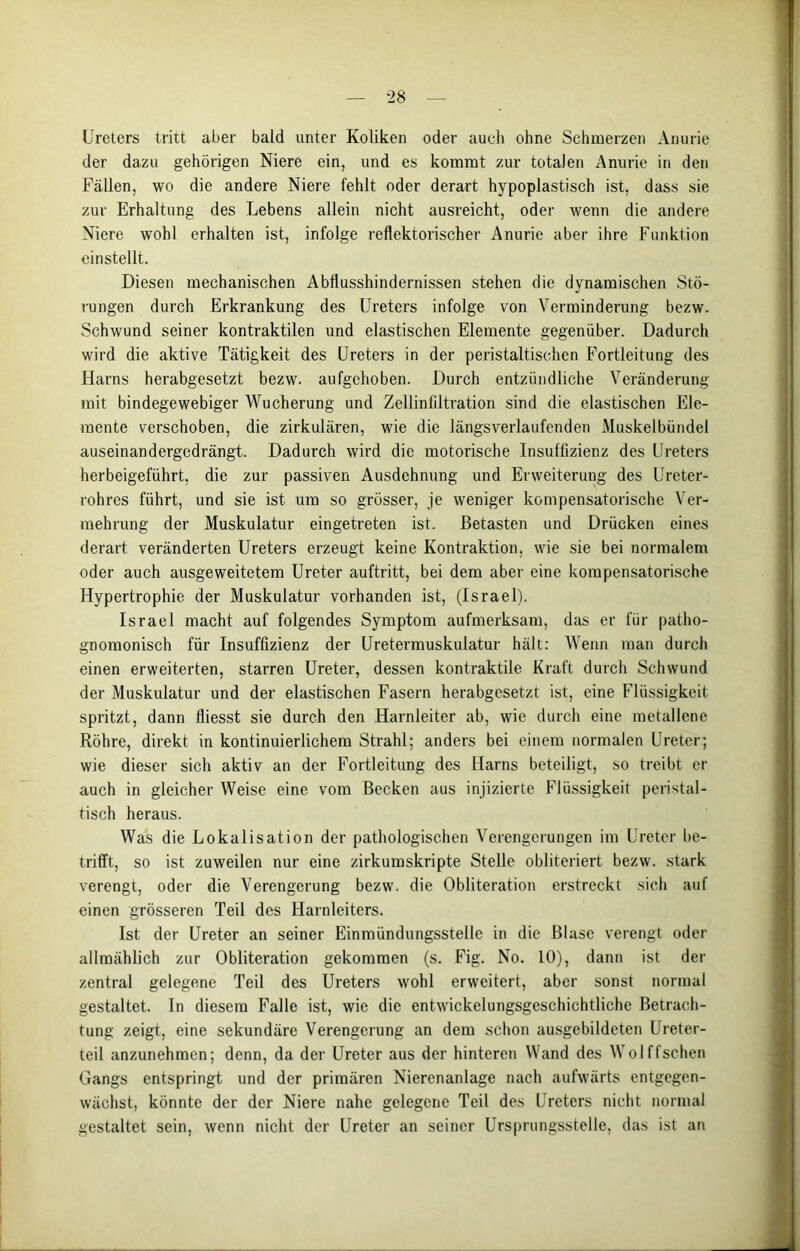 Ureters tritt aber bald unter Koliken oder auch ohne Schmerzen Anurie der dazu gehörigen Niere ein, und es kommt zur totalen Anurie in den Fällen, wo die andere Niere fehlt oder derart hypoplastisch ist, dass sie zur Erhaltung des Lebens allein nicht ausreicht, oder wenn die andere Niere wohl erhalten ist, infolge reflektorischer Anurie aber ihre Funktion einstellt. Diesen mechanischen Abflusshindernissen stehen die dynamischen Stö- rungen durch Erkrankung des Ureters infolge von Verminderung bezw. Schwund seiner kontraktilen und elastischen Elemente gegenüber. Dadurch wird die aktive Tätigkeit des Ureters in der peristaltischen Fortleitung des Harns herabgesetzt bezw. aufgehoben. Durch entzündliche Veränderung mit bindegewebiger Wucherung und Zellinliltration sind die elastischen Ele- mente verschoben, die zirkulären, wie die längsverlaufenden Muskelbündel auseinandergedrängt. Dadurch wird die motorische Insuffizienz des Ureters herbeigeführt, die zur passiven Ausdehnung und Erweiterung des Ureter- rohres führt, und sie ist um so grösser, je weniger kompensatorische Ver- mehrung der Muskulatur eingetreten ist. Betasten und Drücken eines derart veränderten Ureters erzeugt keine Kontraktion, wie sie bei normalem oder auch ausgeweitetem Ureter auftritt, bei dem aber eine kompensatorische Hypertrophie der Muskulatur vorhanden ist, (Israel). Israel macht auf folgendes Symptom aufmerksam, das er für patho- gnomonisch für Insuffizienz der Uretermuskulatur hält: Wenn man durch einen erweiterten, starren Ureter, dessen kontraktile Kraft durch Schwund der Muskulatur und der elastischen Fasern herabgesetzt ist, eine Flüssigkeit spritzt, dann fliesst sie durch den Harnleiter ab, wie durch eine metallene Röhre, direkt in kontinuierlichem Strahl; anders bei einem normalen Ureter; wie dieser sich aktiv an der Fortleitung des Harns beteiligt, so treibt er auch in gleicher Weise eine vom Becken aus injizierte Flüssigkeit peristal- tisch heraus. Was die Lokalisation der pathologischen Verengerungen im Ureter be- trifft, so ist zuweilen nur eine zirkumskripte Stelle obliteriert bezw. stark verengt, oder die Verengerung bezw. die Obliteration erstreckt sich auf einen grösseren Teil des Harnleiters. Ist der Ureter an seiner Einmündungsstellc in die Blase verengt oder allmählich zur Obliteration gekommen (s. Fig. No. 10), dann ist der zentral gelegene Teil des Ureters wohl erweitert, aber sonst normal gestaltet. In diesem Falle ist, wie die entwickelungsgeschichtlichc Betrach- tung zeigt, eine sekundäre Verengerung an dem schon ausgebildcten Ureter- teil anzunehmen; denn, da der Ureter aus der hinteren Wand des Wolffschen Gangs entspringt und der primären Nierenanlage nach aufwärts entgegen- wächst, könnte der der Niere nahe gelegene Teil des Ureters nicht normal gestaltet sein, wenn nicht der Ureter an seiner Ursprungsstelle, das ist an