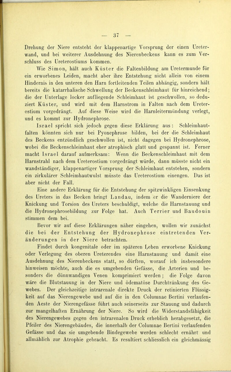 Drehung der Niere entsteht der klappenartige Vorsprung der einen Ureter- wand, und bei weiterer Ausdehnung des Nierenbeckens kann es zum Ver- schluss des Ureterostiums kommen. Wie Simon, hält auch Küster die Faltenbildung am Uretermunde für ein erworbenes Leiden, macht aber ihre Entstehung nicht allein von einem Hindernis in den unteren den Harn fortleitenden Teilen abhängig, sondern hält bereits die katarrhalische Schwellung der Beckenschleimhaut für hinreichend; die der Unterlage locker aufliegende Schleimhaut ist geschwollen, so dedu- ziert Küster, und wird mit dem Harnstrom in Falten nach dem Ureter- ostium vorgedrängt. Auf diese Weise wird die Harnleitermündung verlegt, und es kommt zur Hydronephrose. Israel spricht sich jedoch gegen diese Erklärung aus : Schleimhaut- falten könnten sich nur bei Pyonephrose bilden, bei der die Schleimhaut des Beckens entzündlich geschwollen ist, nicht dagegen bei Hydronephrose, wobei die Beckenschleimhaut eher atrophisch glatt und gespannt ist. Ferner macht Israel darauf aufmerksam: Wenn die Beckenschleimhaut mit dem Harnstrahl nach dem Ureterostium vorgedrängt würde, dann müsste nicht ein wandständiger, klappenartiger Vorsprung der Schleimhaut entstehen, sondern ein zirkulärer Schleimhautwulst müsste das Ureterostium einengen. Das ist aber nicht der Fall. Eine andere Erklärung für die Entstehung der spitzwinkligen Einsenkung des Ureters in das Becken bringt Landau, indem er die Wanderniere der Knickung und Torsion des Ureters beschuldigt, welche die Harnstauung und die Hydronephrosebildung zur Folge hat. Auch Terrier und Baudouin stimmen dem bei. Bevor wir auf diese Erklärungen näher eingehen, wollen wir zunächst die bei der Entstehung der Hydronephrose eintretenden Ver- änderungen in der Niere betrachten. Findet durch kongenitale oder im. späteren Leben erworbene Knickung oder Verlegung des oberen Ureterendes eine Harnstauung und damit eine Ausdehnung des Nierenbeckens statt, so dürften, worauf ich insbesondere hinweisen möchte, auch die es umgebenden Gefässe, die Arterien und be- sonders die dünnwandigen Venen komprimiert werden; die Folge davon wäre die Blutstauung in der Niere und ödematöse Durchtränkung des Ge- webes. Der gleichzeitige intrarenale direkte Druck der retinierten Flüssig- keit auf das Nierengewebe und auf die in den Columnae Bertini verlaufen- den Aeste der Nierengefässe führt auch seinerseits zur Stauung und dadurch zur mangelhaften Ernährung der Niere. So wird die Widerstandsfähigkeit des Nierengewebes gegen den intrarenalen Druck erheblich herabgesetzt, die Pfeiler des Nierengebäudes, die innerhalb der Columnae Bertini verlaufenden Gefässe und das sie umgebende Bindegewebe werden schlecht ernährt und allmählich zur Atrophie gebracht. Es resultiert schliesslich ein gleichmässig