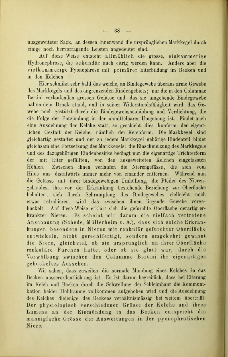 ausgeweiteter Sack, an dessen Innenwand die ursprünglichen Markkegel durch einige noch hervorragende Leisten angedeutet sind. Auf diese Weise entsteht allmählich die grosse, einkamraerige Hydronephrose, die sekundär auch eitrig werden kann. Anders aber die vielkammerige Pyonephrose mit primärer Eiterbildung im Becken und in den Kelchen. Hier schmilzt sehr bald das weiche, an Bindegewebe überaus arme Gewebe des Markkegels und des angrenzenden Rindengebiets; nur die in den Columnae Bertini verlaufenden grossen Gefässe und das sie umgebende Bindegewebe halten dem Druck stand, und in seiner Widerstandsfähigkeit wird das Ge- webe noch gestützt durch die Bindegewebsneubildung und Verdichtung, die die Folge der Entzündung in der unmittelbaren Umgebung ist. Findet auch eine Ausdehnung der Kelche statt, so geschieht dies konform der eigent- lichen Gestalt der Kelche, nämlich der Kelchform. Die Markkegel sind gleichartig gestaltet und der zu jedem Markkegel gehörige Rindenteil bildet gleichsam eine Fortsetzung des Markkegels; die Einschmelzung des Markkegels und des dazugehörigen Rindenbezirks bedingt nun die eigenartige Trichterform der mit Eiter gefüllten, von den ausgeweiteten Kelchen eingefassten Höhlen. Zwischen ihnen verlaufen die Nierengefässe, die sich vom Hilus aus distalwärts immer mehr von einander entfernen. Während nun die Gefässe mit ihrer bindegewebigen Umhüllung, die Pfeiler des Nieren- gebäudes, ihre vor der Erkrankung bestehende Beziehung zur Oberfläche behalten, sich durch Schrumpfung des Bindegewebes vielleicht noch etwas retrahieren, wird das zwischen ihnen liegende Gewebe vorge- buckelt. Auf diese Weise erklärt sich die gefurchte Oberfläche derartig er- krankter Nieren. Es scheint mir darum die vielfach vertretene Anschauung (Schede, Müllerheim u. A.), dass sich solche Erkran- kungen besonders in Nieren mit renkulär gefurchter Oberfläche entwickeln, nicht gerechtfertigt, sondern umgekehrt gewinnt die Niere, gleichviel, ob sie ursprünglich an ihrer Oberfläche renkuläre Furchen hatte, oder ob sie glatt war, durch die Vorwölbung zwischen den Columnae Bertini ihr eigenartiges gebuckeltes Aussehen. Wir sahen, dass zuweilen die normale Mündung eines Kelches in das Becken ausserordentlich eng ist. Es ist darum begreiflich, dass bei Eiterung im Kelch und Becken durch die Schwellung der Schleimhaut die Kommuni- kation beider Hohlräume vollkommen aufgehoben wird und die Ausdehnung des Kelches diejenige des Beckens verhältnismässig bei weitem übertrifft. Der physiologisch verschiedenen Grösse der Kelche und ihres Lumens an der Einmündung in das Becken entspricht die mannigfache Grösse der Ausweitungen in der pyonephrotischen Niere.
