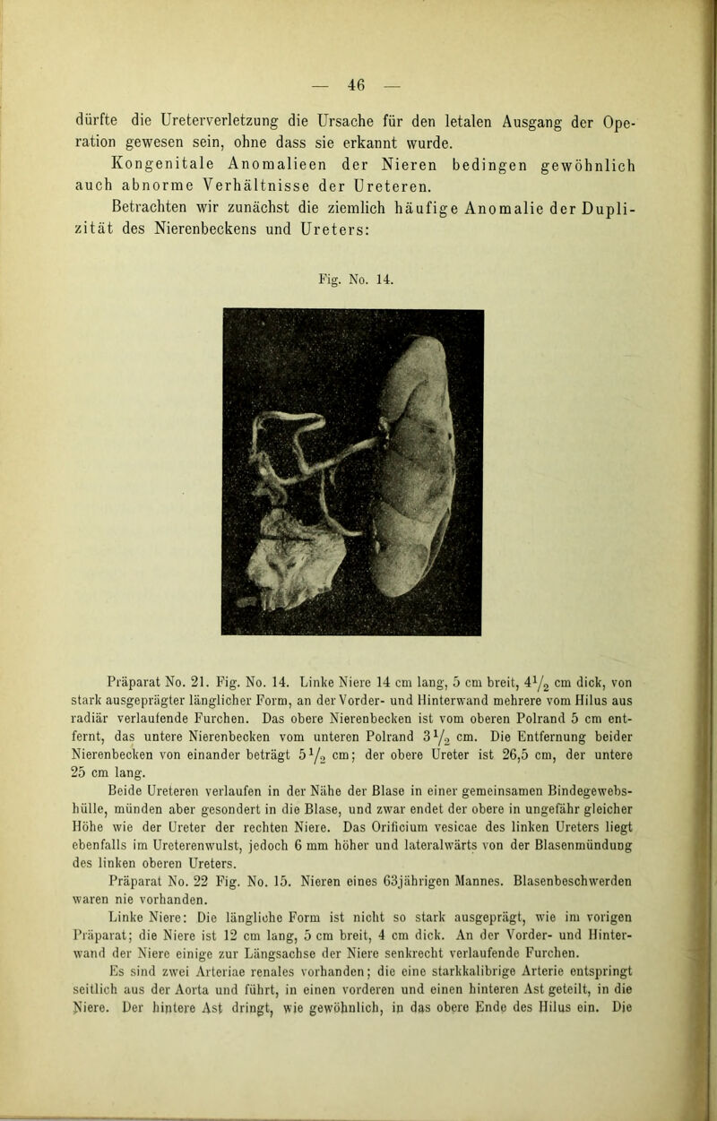 dürfte die Ureterverletzung die Ursache für den letalen Ausgang der Ope- ration gewesen sein, ohne dass sie erkannt wurde. Kongenitale Anomalieen der Nieren bedingen gewöhnlich auch abnorme Verhältnisse der Ureteren. Betrachten wir zunächst die ziemlich häufige Anomalie der Dupli- zität des Nierenbeckens und Ureters: Fig. No. 14. Präparat No. 21. Fig. No. 14. Linke Niere 14 cm lang, 5 cm breit, 4y2 cm dick, von stark ausgeprägter länglicher Form, an der Vorder- und Hinterwand mehrere vom Hilus aus radiär verlautende Furchen. Das obere Nierenbecken ist vom oberen Polrand 5 cm ent- fernt, das untere Nierenbecken vom unteren Polrand 31/., cm. Die Entfernung beider Nierenbecken von einander beträgt ö1/« cm; der obere Ureter ist 26,5 cm, der untere 25 cm lang. Beide Ureteren verlaufen in der Nähe der Blase in einer gemeinsamen Bindegewebs- hülle, münden aber gesondert in die Blase, und zwar endet der obere in ungefähr gleicher Höhe wie der Ureter der rechten Niere. Das Orificium vesicae des linken Ureters liegt ebenfalls im Ureterenwulst, jedoch 6 mm höher und lateralwärts von der BlasenmünduDg des linken oberen Ureters. Präparat No. 22 Fig. No. 15. Nieren eines 63jährigen Mannes. Blasenbeschwerden waren nie vorhanden. Linke Niere: Die längliche Form ist nicht so stark ausgeprägt, wie im vorigen Präparat; die Niere ist 12 cm lang, 5 cm breit, 4 cm dick. An der Vorder- und Hinter- wand der Niere einige zur Längsachse der Niere senkrecht verlaufende Furchen. Es sind zwei Arteriae renales vorhanden; die eine starkkalibrige Arterie entspringt seitlich aus der Aorta und führt, in einen vorderen und einen hinteren Ast geteilt, in die Niere. Der hintere Ast dringt, wie gewöhnlich, in das obere Ende des Ililus ein. Die