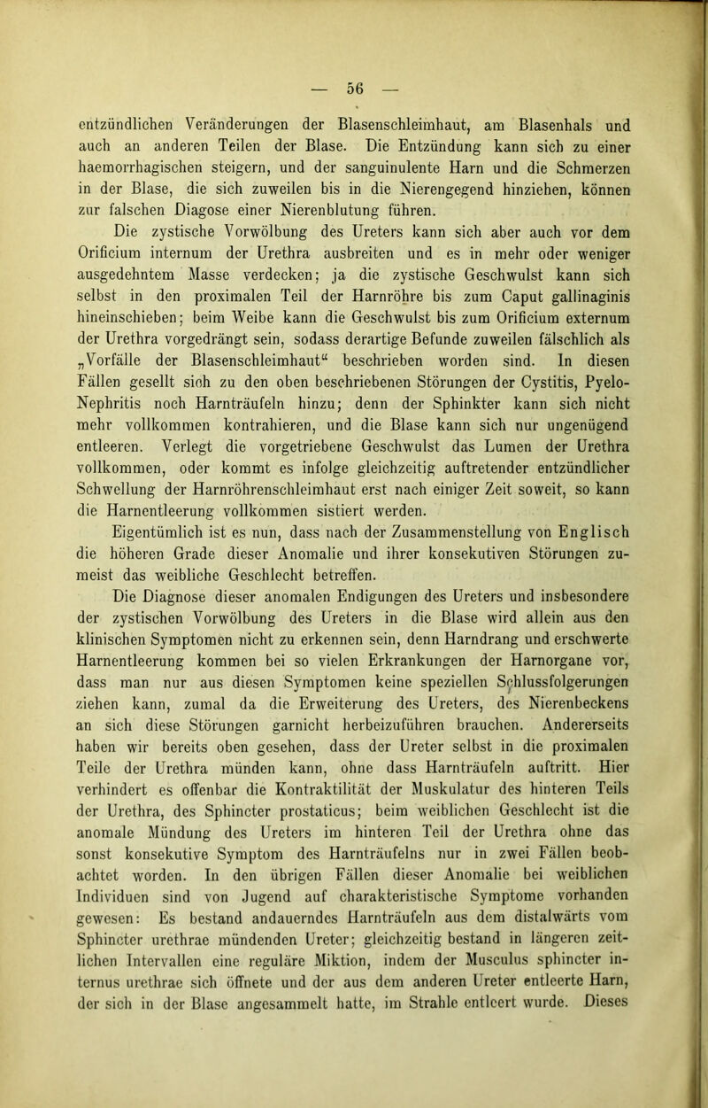 entzündlichen Veränderungen der Blasenschleimhaut, am Blasenhals und auch an anderen Teilen der Blase. Die Entzündung kann sich zu einer haemorrhagischen steigern, und der sanguinulente Harn und die Schmerzen in der Blase, die sich zuweilen bis in die Nierengegend hinziehen, können zur falschen Diagose einer Nierenblutung führen. Die zystische Vorwölbung des Ureters kann sich aber auch vor dem Orificium internum der Urethra ausbreiten und es in mehr oder weniger ausgedehntem Masse verdecken; ja die zystische Geschwulst kann sich selbst in den proximalen Teil der Harnröhre bis zum Caput gallinaginis hineinschieben; beim Weibe kann die Geschwulst bis zum Orificium externum der Urethra vorgedrängt sein, sodass derartige Befunde zuweilen fälschlich als „Vorfälle der Blasenschleimhaut“ beschrieben worden sind, ln diesen Fällen gesellt sich zu den oben beschriebenen Störungen der Cystitis, Pyelo- Nephritis noch Harnträufeln hinzu; denn der Sphinkter kann sich nicht mehr vollkommen kontrahieren, und die Blase kann sich nur ungenügend entleeren. Verlegt die vorgetriebene Geschwulst das Lumen der Urethra vollkommen, oder kommt es infolge gleichzeitig auftretender entzündlicher Schwellung der Harnröhrenschleimhaut erst nach einiger Zeit soweit, so kann die Harnentleerung vollkommen sistiert werden. Eigentümlich ist es nun, dass nach der Zusammenstellung von Englisch die höheren Grade dieser Anomalie und ihrer konsekutiven Störungen zu- meist das weibliche Geschlecht betreffen. Die Diagnose dieser anomalen Endigungen des Ureters und insbesondere der zystischen Vorwölbung des Ureters in die Blase wird allein aus den klinischen Symptomen nicht zu erkennen sein, denn Harndrang und erschwerte Harnentleerung kommen bei so vielen Erkrankungen der Harnorgane vor, dass man nur aus diesen Symptomen keine speziellen Schlussfolgerungen ziehen kann, zumal da die Erweiterung des Ureters, des Nierenbeckens an sich diese Störungen garnicht herbeizuführen brauchen. Andererseits haben wir bereits oben gesehen, dass der Ureter selbst in die proximalen Teile der Urethra münden kann, ohne dass Harnträufeln auftritt. Hier verhindert es offenbar die Kontraktilität der Muskulatur des hinteren Teils der Urethra, des Sphincter prostaticus; beim weiblichen Geschlecht ist die anomale Mündung des Ureters im hinteren Teil der Urethra ohne das sonst konsekutive Symptom des Harnträufelns nur in zwei Fällen beob- achtet worden. In den übrigen Fällen dieser Anomalie bei weiblichen Individuen sind von Jugend auf charakteristische Symptome vorhanden gewesen: Es bestand andauerndes Harnträufeln aus dem distalwärts vom Sphincter urethrae mündenden Ureter; gleichzeitig bestand in längeren zeit- lichen Intervallen eine reguläre Miktion, indem der Musculus sphincter in- ternus urethrae sich öffnete und der aus dem anderen Ureter entleerte Harn, der sich in der Blase angesammelt hatte, im Strahle entleert wurde. Dieses