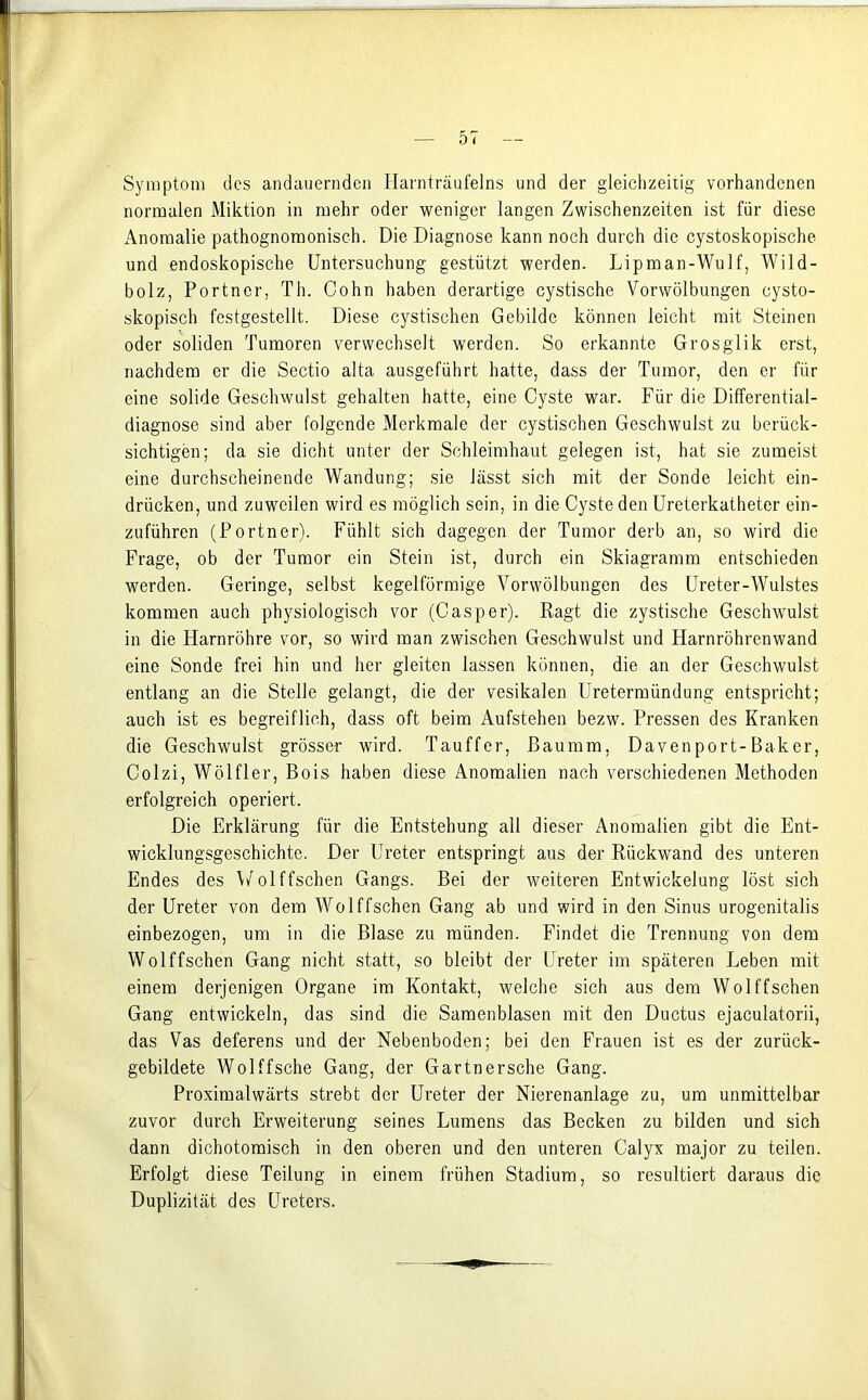 Symptom des andauernden Harnträufelns und der gleichzeitig vorhandenen normalen Miktion in mehr oder weniger langen Zwischenzeiten ist für diese Anomalie pathognomonisch. Die Diagnose kann noch durch die cystoskopische und endoskopische Untersuchung gestützt werden. Lipman-Wulf, Wild- bolz, Portncr, Th. Cohn haben derartige cystische Vorwölbungen cysto- skopisch festgestellt. Diese cystischen Gebilde können leicht mit Steinen oder soliden Tumoren verwechselt werden. So erkannte Grosglik erst, nachdem er die Sectio alta ausgeführt hatte, dass der Tumor, den er für eine solide Geschwulst gehalten hatte, eine Cyste war. Für die Differential- diagnose sind aber folgende Merkmale der cystischen Geschwulst zu berück- sichtigen; da sie dicht unter der Schleimhaut gelegen ist, hat sie zumeist eine durchscheinende Wandung; sie Jässt sich mit der Sonde leicht ein- drücken, und zuweilen wird es möglich sein, in die Cyste den Ureterkatheter ein- zuführen (Portner). Fühlt sich dagegen der Tumor derb an, so wird die Frage, ob der Tumor ein Stein ist, durch ein Skiagramm entschieden werden. Geringe, selbst kegelförmige Vorwölbungen des Ureter-Wulstes kommen auch physiologisch vor (Casper). Ragt die zystische Geschwulst in die Harnröhre vor, so wird man zwischen Geschwulst und Harnröhrenwand eine Sonde frei hin und her gleiten lassen können, die an der Geschwulst entlang an die Stelle gelangt, die der vesikalen Uretermündung entspricht; auch ist es begreiflich, dass oft beim Aufstehen bezw. Pressen des Kranken die Geschwulst grösser wird. Tauffer, Baumm, Davenport-Baker, Colzi, Wölfler, Bois haben diese Anomalien nach verschiedenen Methoden erfolgreich operiert. Die Erklärung für die Entstehung all dieser Anomalien gibt die Ent- wicklungsgeschichte. Der Ureter entspringt aus der Rückwand des unteren Endes des Volffschen Gangs. Bei der weiteren Entwickelung löst sich der Ureter von dem Wolffschen Gang ab und wird in den Sinus urogenitalis einbezogen, um in die Blase zu münden. Findet die Trennung von dem Wolffschen Gang nicht statt, so bleibt der Ureter im späteren Leben mit einem derjenigen Organe im Kontakt, welche sich aus dem Wolffschen Gang entwickeln, das sind die Samenblasen mit den Ductus ejaculatorii, das Vas deferens und der Nebenboden; bei den Frauen ist es der zurück- gebildete Wolffsche Gang, der Gartnersehe Gang. Proximalwärts strebt der Ureter der Nierenanlage zu, um unmittelbar zuvor durch Erweiterung seines Lumens das Becken zu bilden und sich dann dichotomisch in den oberen und den unteren Calyx major zu teilen. Erfolgt diese Teilung in einem frühen Stadium, so resultiert daraus die Duplizität des Ureters.