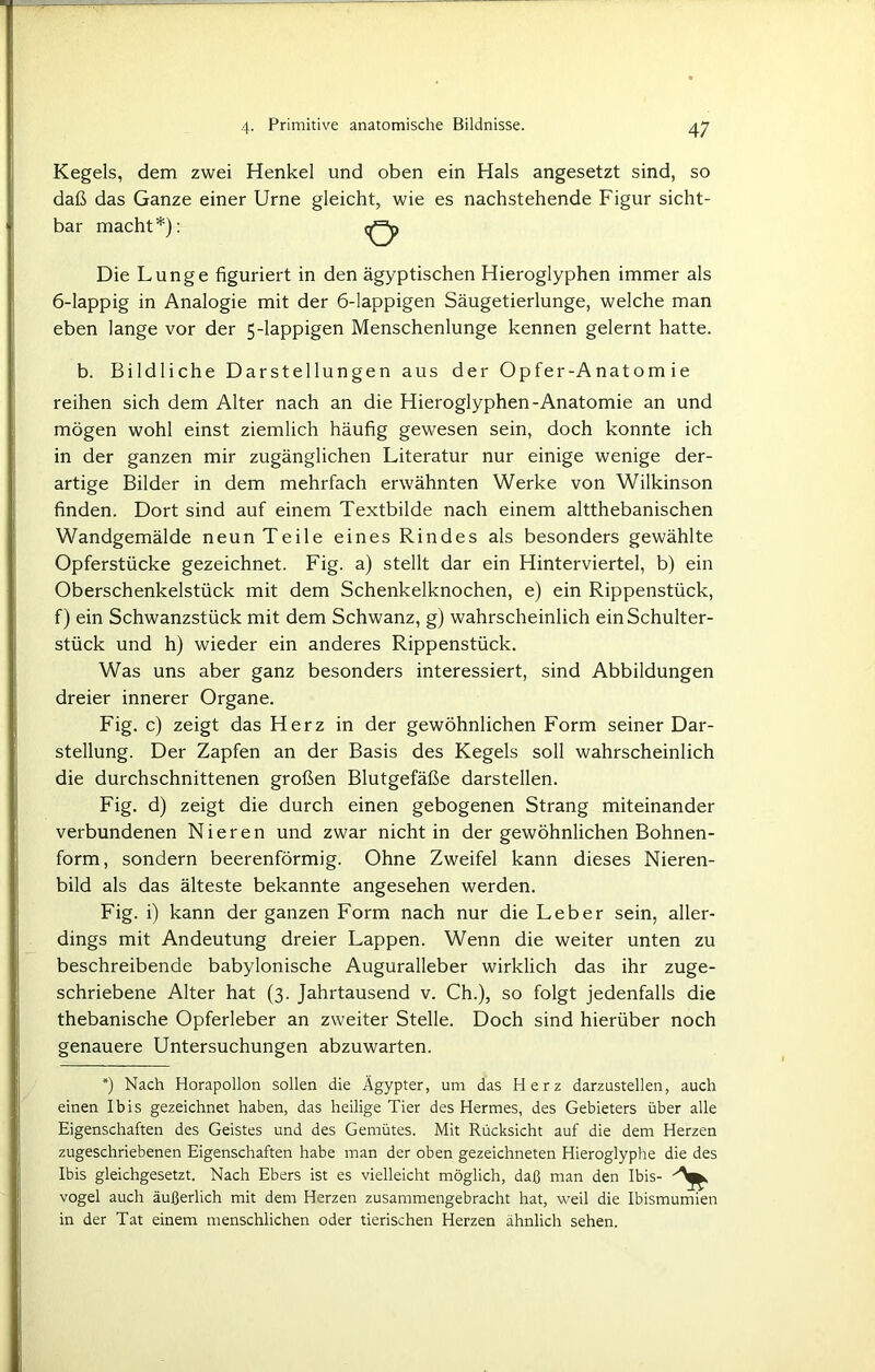 Kegels, dem zwei Henkel und oben ein Hals angesetzt sind, so daß das Ganze einer Urne gleicht, wie es nachstehende Figur sicht- bar macht*): O Die Lunge figuriert in den ägyptischen Hieroglyphen immer als 6-lappig in Analogie mit der 6-lappigen Säugetierlunge, welche man eben lange vor der 5-lappigen Menschenlunge kennen gelernt hatte. b. Bildliche Darstellungen aus der Opfer-Anatomie reihen sich dem Alter nach an die Hieroglyphen-Anatomie an und mögen wohl einst ziemlich häufig gewesen sein, doch konnte ich in der ganzen mir zugänglichen Literatur nur einige wenige der- artige Bilder in dem mehrfach erwähnten Werke von Wilkinson finden. Dort sind auf einem Textbilde nach einem altthebanischen Wandgemälde neun Teile eines Rindes als besonders gewählte Opferstücke gezeichnet. Fig. a) stellt dar ein Hinterviertel, b) ein Oberschenkelstück mit dem Schenkelknochen, e) ein Rippenstück, f) ein Schwanzstück mit dem Schwanz, g) wahrscheinlich ein Schulter- stück und h) wieder ein anderes Rippenstück. Was uns aber ganz besonders interessiert, sind Abbildungen dreier innerer Organe. Fig. c) zeigt das Herz in der gewöhnlichen Form seiner Dar- stellung. Der Zapfen an der Basis des Kegels soll wahrscheinlich die durchschnittenen großen Blutgefäße darstellen. Fig. d) zeigt die durch einen gebogenen Strang miteinander verbundenen Nieren und zwar nicht in der gewöhnlichen Bohnen- form, sondern beerenförmig. Ohne Zweifel kann dieses Nieren- bild als das älteste bekannte angesehen werden. Fig. i) kann der ganzen Form nach nur die Leber sein, aller- dings mit Andeutung dreier Lappen. Wenn die weiter unten zu beschreibende babylonische Auguralleber wirklich das ihr zuge- schriebene Alter hat (3. Jahrtausend v. Ch.), so folgt jedenfalls die thebanische Opferleber an zweiter Stelle. Doch sind hierüber noch genauere Untersuchungen abzuwarten. *) Nach Horapollon sollen die Ägypter, um das Herz darzustellen, auch einen Ibis gezeichnet haben, das heilige Tier des Hermes, des Gebieters über alle Eigenschaften des Geistes und des Gemütes. Mit Rücksicht auf die dem Herzen zugeschriebenen Eigenschaften habe man der oben gezeichneten Hieroglyphe die des Ibis gleichgesetzt. Nach Ebers ist es vielleicht möglich, daß man den Ibis- vogel auch äußerlich mit dem Herzen zusammengebracht hat, weil die Ibismumien in der Tat einem menschlichen oder tierischen Herzen ähnlich sehen.