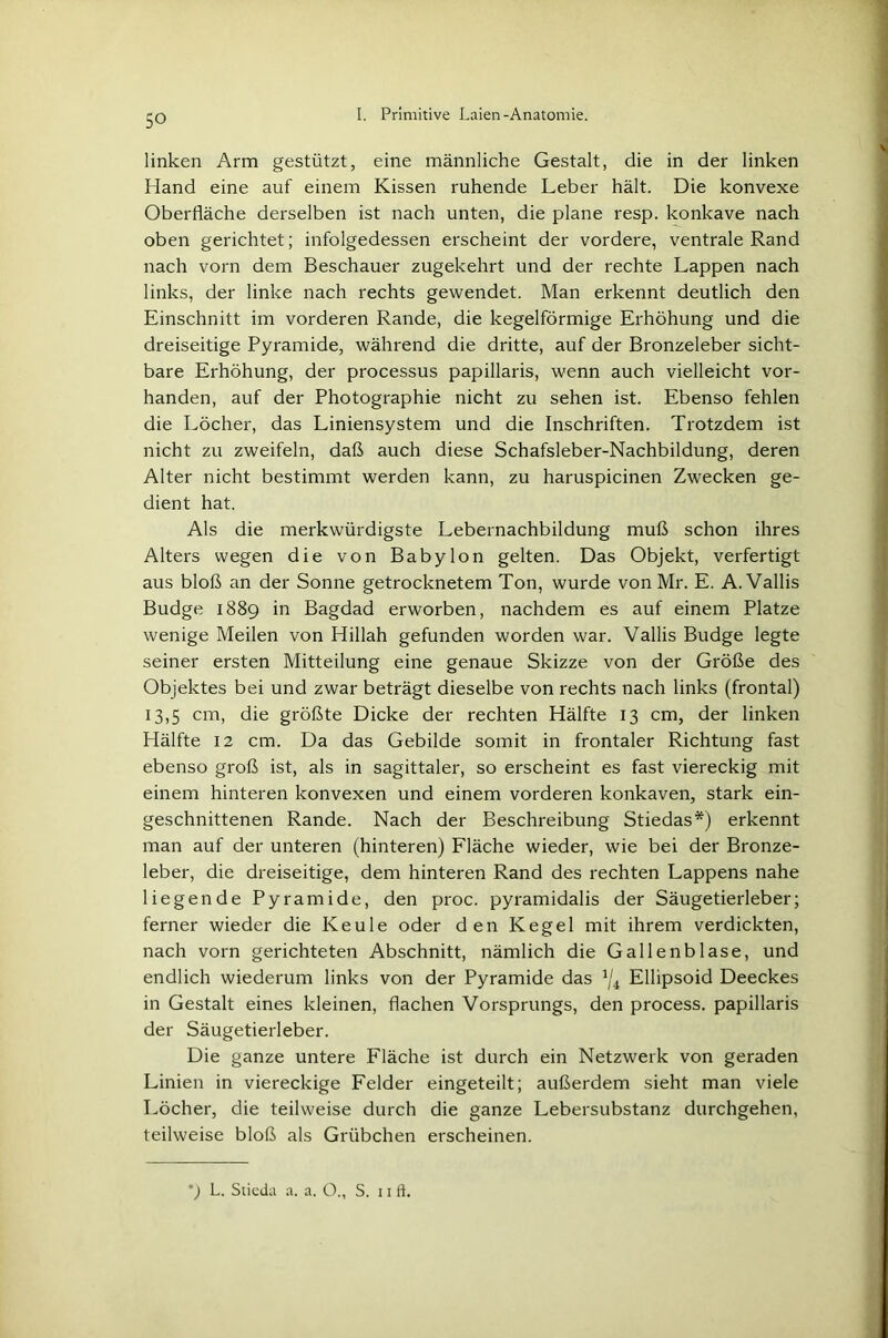 linken Arm gestützt, eine männliche Gestalt, die in der linken Hand eine auf einem Kissen ruhende Leber hält. Die konvexe Oberfläche derselben ist nach unten, die plane resp. konkave nach oben gerichtet; infolgedessen erscheint der vordere, ventrale Rand nach vorn dem Beschauer zugekehrt und der rechte Lappen nach links, der linke nach rechts gewendet. Man erkennt deutlich den Einschnitt im vorderen Rande, die kegelförmige Erhöhung und die dreiseitige Pyramide, während die dritte, auf der Bronzeleber sicht- bare Erhöhung, der processus papillaris, wenn auch vielleicht vor- handen, auf der Photographie nicht zu sehen ist. Ebenso fehlen die Löcher, das Liniensystem und die Inschriften. Trotzdem ist nicht zu zweifeln, daß auch diese Schafsleber-Nachbildung, deren Alter nicht bestimmt werden kann, zu haruspicinen Zwecken ge- dient hat. Als die merkwürdigste Lebernachbildung muß schon ihres Alters wegen die von Babylon gelten. Das Objekt, verfertigt aus bloß an der Sonne getrocknetem Ton, wurde von Mr. E. A.Vallis Budge 1889 in Bagdad erworben, nachdem es auf einem Platze wenige Meilen von Hillah gefunden worden war. Vallis Budge legte seiner ersten Mitteilung eine genaue Skizze von der Größe des Objektes bei und zwar beträgt dieselbe von rechts nach links (frontal) 13,5 cm, die größte Dicke der rechten Hälfte 13 cm, der linken Hälfte 12 cm. Da das Gebilde somit in frontaler Richtung fast ebenso groß ist, als in sagittaler, so erscheint es fast viereckig mit einem hinteren konvexen und einem vorderen konkaven, stark ein- geschnittenen Rande. Nach der Beschreibung Stiedas*) erkennt man auf der unteren (hinteren) Fläche wieder, wie bei der Bronze- leber, die dreiseitige, dem hinteren Rand des rechten Lappens nahe liegende Pyramide, den proc. pyramidalis der Säugetierleber; ferner wieder die Keule oder den Kegel mit ihrem verdickten, nach vorn gerichteten Abschnitt, nämlich die Gallenblase, und endlich wiederum links von der Pyramide das a/4 Ellipsoid Deeckes in Gestalt eines kleinen, flachen Vorsprungs, den process. papillaris der Säugetierleber. Die ganze untere Fläche ist durch ein Netzwerk von geraden Linien in viereckige Felder eingeteilt; außerdem sieht man viele Löcher, die teilweise durch die ganze Lebersubstanz durchgehen, teilweise bloß als Grübchen erscheinen. *) L. Sticda a. a. O., S. 11 fi.