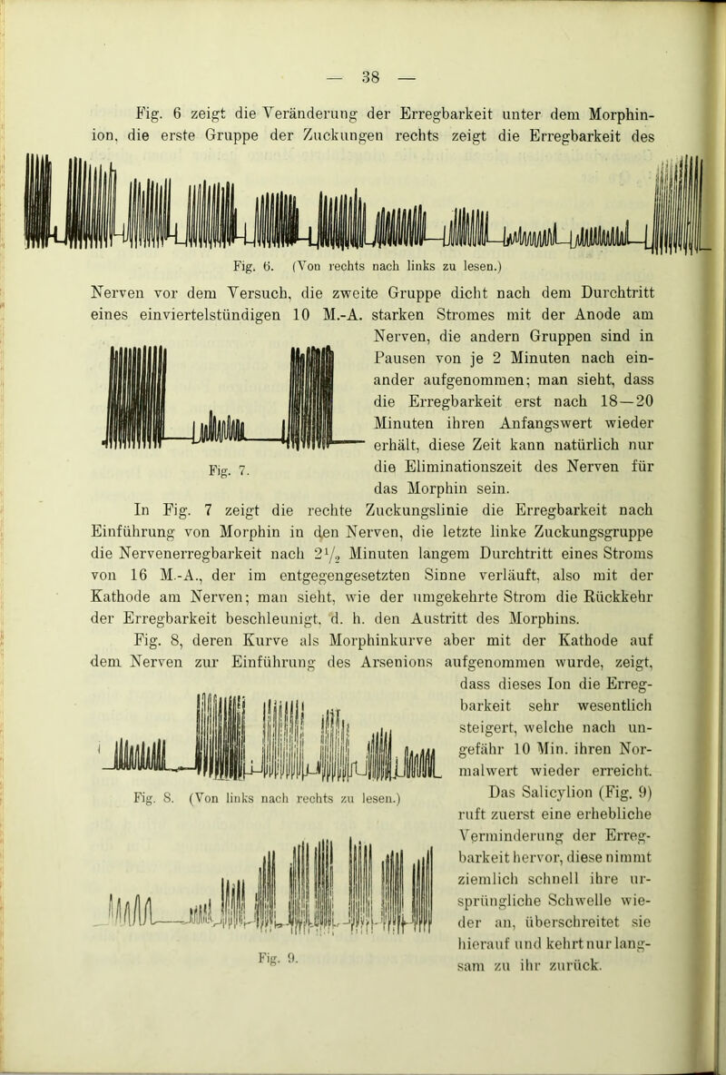 Fig. 6 zeigt die Veränderung der Erregbarkeit unter dem Morphin- ion, die erste Gruppe der Zuckungen rechts zeigt die Erregbarkeit des Fig. 7. Fig. 6. (Von rechts nach links zu lesen.) Nerven vor dem Versuch, die zweite Gruppe dicht nach dem Durchtritt eines ein viertelstündigen 10 M.-A. starken Stromes mit der Anode am Nerven, die andern Gruppen sind in Pausen von je 2 Minuten nach ein- ander aufgenommen; man sieht, dass die Erregbarkeit erst nach 18—20 Minuten ihren Anfangswert wieder erhält, diese Zeit kann natürlich nur die Eliminationszeit des Nerven für das Morphin sein. In Fig. 7 zeigt die rechte Zuckungslinie die Erregbarkeit nach Einführung von Morphin in den Nerven, die letzte linke Zuckungsgruppe die Nervenerregbarkeit nach 2y., Minuten langem Durchtritt eines Stroms von 16 M.-A., der im entgegengesetzten Sinne verläuft, also mit der Kathode am Nerven; man sieht, wie der umgekehrte Strom die Rückkehr der Erregbarkeit beschleunigt, d. h. den Austritt des Morphins. Fig. 8, deren Kurve als Morphinkurve aber mit der Kathode auf dem Nerven zur Einführung des Arsenions aufgenommen wurde, zeigt, dass dieses Ion die Erreg- barkeit sehr wesentlich steigert, welche nach un- gefähr 10 Min. ihren Nor- malwert wieder erreicht. Das Salicylion (Fig. 9) ruft zuerst eine erhebliche Verminderung der Erreg- barkeit hervor, diese nimmt ziemlich schnell ihre ur- sprüngliche Schwelle wie- der an, überschreitet sie hierauf und kehrt nur lang- sam zu ihr zurück. f f I ii !{jl i| L u 1 llf i 1 iHi lUt Fig. S. (Von links nach rechts zu lesen.) . II1 1 1 11 1 1: l! 1 II 1 llJ L |,,j Mf ! 1' Ifl Fig. 9.