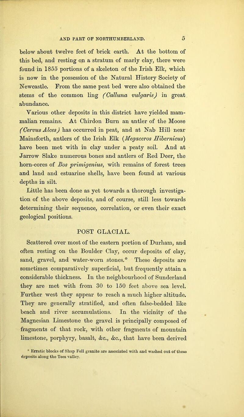below about twelve feet of brick earth. At the bottom of this bed, and resting on a stratum of marly clay, there were found in 1855 portions of a skeleton of the Irish Elk, which is now in the possession of the Natural History Society of Newcastle. From the same peat bed were also obtained the stems of the common ling (Calluna vulgarisJ in great abundance. Various other deposits in this district have yielded mam- malian remains. At Chirdon Burn an antler of the Moose fCervus Alces) has occurred in peat, and at Nab Hill near Mainsforth, antlers of the Irish Elk (Megaceros Hibernicus) have been met with in clay under a peaty soil. And at Jarrow Slake numerous bones and antlers of Red Deer, the horn-cores of Bos primigenius, with remains of forest trees and land and estuarine shells, have been found at various depths in silt. Little has been done as yet towards a thorough investiga- tion of the above deposits, and of course, still less towards determining their sequence, correlation, or even their exact geological positions. POST GLACIAL. Scattered over most of the eastern portion of Durham, and often resting on the Boulder Clay, occur deposits of clay, sand, gravel, and water-worn stones.* These deposits are sometimes comparatively superficial, but frequently attain a considerable thickness. In the neighbourhood of Sunderland they are met Avith from 30 to 150 feet aboAre sea level. Further west they appear to reach a much higher altitude. They are generally stratified, and often false-bedded like beach and river accumulations. In the vicinity of the Magnesian Limestone the gravel is principally composed of fragments of that rock, with other fragments of mountain limestone, porphyry, basalt, &c., &c., that have been derived * Erratic blocks of Shap Fell granite are associated with and washed out of these deposits along the Tees valley.
