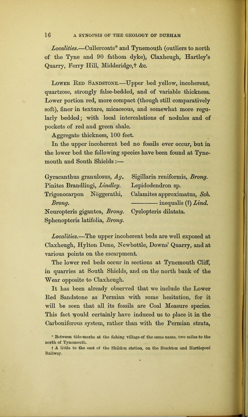Localities.—Cullercoats* and Tynemouth (outliers to north of the Tyne and 90 fathom dyke), Claxheugh, Hartley’s Quarry, Ferry Hill, Midderidge, t &c. Lower Led Sandstone.—Upper bed yellow, incoherent, quai'tzose, strongly false-bedded, and of variable thickness. Lower portion red, more compact (though still comparatively soft), finer in texture, micaceous, and somewhat more regu- larly bedded; with local intercalations of nodules and of pockets of red and green shale. Aggregate thickness, 100 feet. In the upper incoherent bed no fossils ever occur, but in the lower bed the following species have been found at Tyne- mouth and South Shields :— Gyracanthus granulosus, Ag, Pinites Brandlingi, Lindley. Trigonocarpon Logger athi, Brong. Neuropteris gigantea, Brong. Sphenopteris latifolia, Brong. Localities.—The upper incoherent beds are well exposed at Claxheugh, Hylton Dene, Newbottle, Downs’ Quarry, and at various points on the escarpment. The lower red beds occur in sections at Tynemouth Cliff1, in quarries at South Shields, and on the north bank of the Wear opposite to Claxheugh. It has been already observed that we include the Lower Led Sandstone as Permian with some hesitation, for it will be seen that all its fossils are Coal Measure species. This fact would certainly have induced us to place it in the Carboniferous system, rather than with the Permian strata, Sigillaria reniformis, Brong. Lepidodendron sp. Calamites approximatus, Sch. inequalis (?) Lind. Cyclopteris dilatata. * Between tide-marks at the fishing village of the same name, two miles to the north of Tynemouth. t A little to the east of the Shildon station, on the Stockton and Hartlepool Railway.