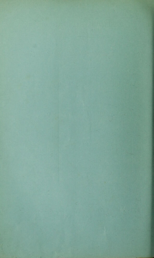 digitised image 2