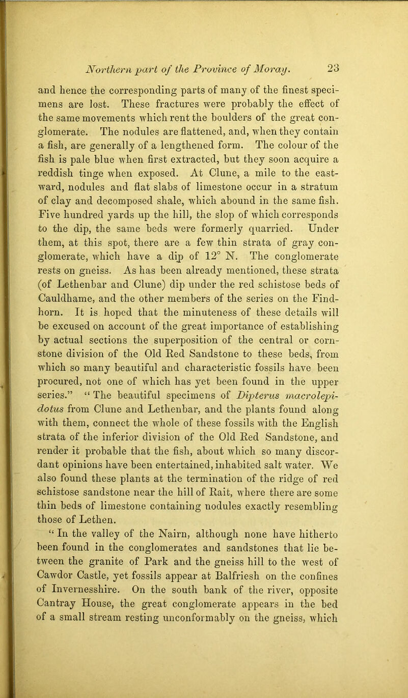 and hence the corresponding parts of many of the finest speci- mens are lost. These fractures were probably the effect of the same movements which rent the boulders of the great con- glomerate. The nodules are flattened, and, when they contain a fish, are generally of a lengthened form. The colour of the fish is pale blue when first extracted, but they soon acquire a reddish tinge when exposed. At Clune, a mile to the east- ward, nodules and flat slabs of limestone occur in a stratum of clay and decomposed shale, which abound in the same fish. Five hundi’ed yards up the hill, the slop of which corresponds to the dip, the same beds were formerly quarried. Under them, at this spot, there are a few thin strata of gray con- glomerate, which have a dij) of 12° N. The conglomerate rests on gneiss. As has been already mentioned, these strata (of Lethenbar and Clune) dip under the red schistose beds of Cauldhame, and the other members of the series on the Find- horn. It is hoped that the minuteness of these details will be excused on account of the great importance of establishing by actual sections the superposition of the central or corn- stone division of the Old Red Sandstone to these beds, from which so many beautiful and characteristic fossils have been procured, not one of which has yet been found in the upper series.” “ The beautiful specimens of Dipterus macrolepi- dotus from Clune and Lethenbar, and the plants found along with them, connect the whole of these fossils with the English strata of the inferior division of the Old Red Sandstone, and render it probable that the fish, about which so many discor- dant opinions have been entertained, inhabited salt water. We also found these plants at the termination of the ridge of red schistose sandstone near the hill of Rait, where there are some thin beds of limestone containing nodules exactly resembling those of Lethen. “ In the valley of the Nairn, although none have hitherto been found in the conglomerates and sandstones that lie be- tween the granite of Park and the gneiss hill to the west of Cawdor Castle, yet fossils appear at Balfriesh on the confines of Invernesshire. On the south bank of the river, opposite Cantray House, the great conglomerate appears in the bed of a small stream resting un conform ably on the gneiss, which