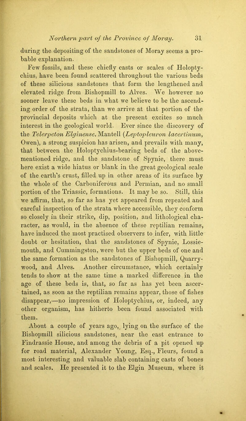 during the depositing of the sandstones of Moray seems a pro- bable explanation. Few fossils, and these chiefly casts or scales of Holopty- chius, have been found scattered throughout the various beds of these silicious sandstones that form the lengthened and elevated ridge from Bishopmill to Alves. We however no sooner leave these beds in what we believe to be the ascend- ing order of the strata, than we arrive at that portion of the provincial deposits which at the present excites so much interest in the geological world. Ever since the discovery of the Telerpeton Elginense,M.aA\tQ\\ {Leptopleuron lacertinum, Owen), a strong suspicion has arisen, and prevails with many, that between the Holoptychius-bearing beds of the above- mentioned ridge, and the sandstone of Spynie, there must here exist a wide hiatus or blank in the great geological scale of the earth’s crust, filled up in other areas of its surface by the whole of the Carboniferous and Permian, and no small portion of the Triassic, formations. It may be so. Still, this we affirm, that, so far as has yet appeared from repeated and careful inspection of the strata where accessible, they conform so closely in their strike, dip, position, and lithological cha- racter, as would, in the absence of these reptilian remains, have induced the most practised observers to infer, with little doubt or hesitation, that the sandstones of Spynie, Lossie- mouth, and Cummingston, were but the upper beds of one and the same formation as the sandstones of Bishopmill, Quarry- wood, and Alves. Another circumstance, which certainly tends to show at the same time a marked difference in the age of these beds is, that, so far as has yet been ascer- tained, as soon as the reptilian remains appear, those of fishes disappear,—no impression of Holoptychius, or, indeed, any other organism, has hitherto been found associated with them. About a couple of years ago, lying on the surface of the Bishopmill silicious sandstones, near the east entrance to Findrassie House, and among the debris of a pit opened up for road material, Alexander Young, Esq., Fleurs, found a most interesting and valuable slab containing casts of bones and scales. He presented it to the Elgin Museum, where it