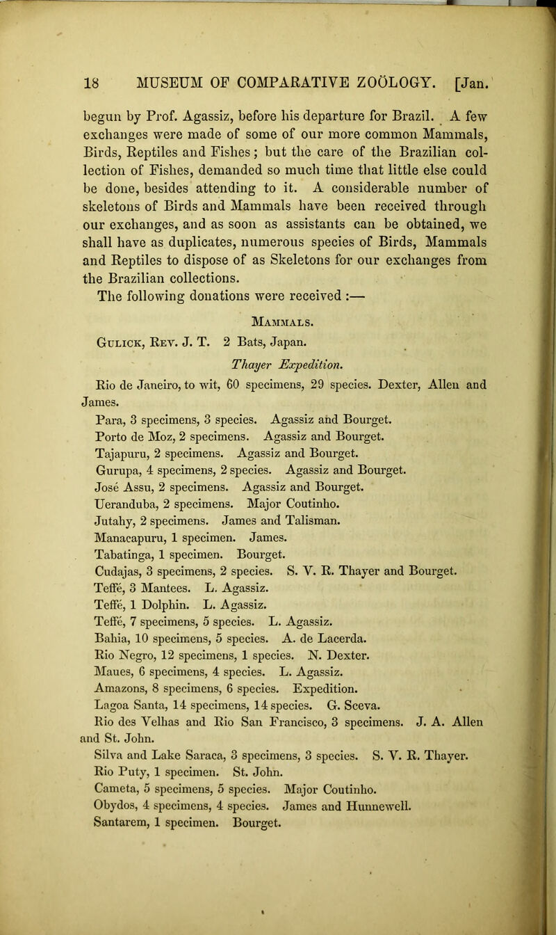 begun by Prof. Agassiz, before his departure for Brazil. A few exchanges were made of some of our more common Mammals, Birds, Reptiles and Fishes; but the care of the Brazilian col- lection of Fishes, demanded so much time that little else could be done, besides attending to it. A considerable number of skeletons of Birds and Mammals have been received through our exchanges, and as soon as assistants can be obtained, we shall have as duplicates, numerous species of Birds, Mammals and Reptiles to dispose of as Skeletons for our exchanges from the Brazilian collections. The following donations were received :— Mammals. Gulick, Rey. J. T. 2 Bats, Japan. Thayer Expedition. Rio de Janeiro, to wit, 60 specimens, 29 species. Dexter, Allen and James. Para, 3 specimens, 3 species. Agassiz and Bourget. Porto de Moz, 2 specimens. Agassiz and Bourget. Tajapuru, 2 specimens. Agassiz and Bourget. Gurupa, 4 specimens, 2 species. Agassiz and Bourget. Jose Assu, 2 specimens. Agassiz and Bourget. Ueranduba, 2 specimens. Major Coutinko. Jutahy, 2 specimens. James and Talisman. Manacapuru, 1 specimen. James. Tabatinga, 1 specimen. Bourget. Cudajas, 3 specimens, 2 species. S. V. R. Thayer and Bourget. Teffe, 3 Mantees. L. Agassiz. Teffe, 1 Dolphin. L. Agassiz. Teffe, 7 specimens, 5 species. L. Agassiz. Bahia, 10 specimens, 5 species. A. de Lacerda. Rio Negro, 12 specimens, 1 species. N. Dexter. Maues, 6 specimens, 4 species. L. Agassiz. Amazons, 8 specimens, 6 species. Expedition. Lagoa Santa, 14 specimens, 14 species. G. Sceva. Rio des Velhas and Rio San Francisco, 3 specimens. J. A. Allen and St. John. Silva and Lake Saraca, 3 specimens, 3 species. S. V. R. Thayer. Rio Ruty, 1 specimen. St. John. Cameta, 5 specimens, 5 species. Major Coutinho. Obydos, 4 specimens, 4 species. James and Hunnewell. Santarem, 1 specimen. Bourget.