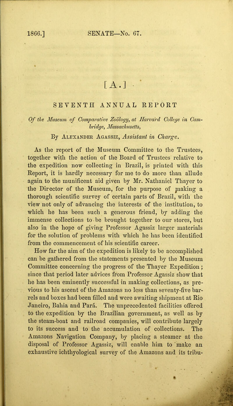 [A.] • SEVENTH ANNUAL REPORT Of the Museum of Comparative Zoology, at Harvard College in Cam- bridge, Massachusetts, By Alexander Agassiz, Assistant in Charge. As the report of the Museum Committee to the Trustees, together with the action of the Board of Trustees relative to the expedition now collecting in Brazil, is printed with this Report, it is hardly necessary for me to do more than allude again to the munificent aid given by Mr. Nathaniel Thayer to the Director of the Museum, for the purpose of jnaldng a thorough scientific survey of certain parts of Brazil, with the view not only of advancing the interests of the institution, to which he has been such a generous friend, by adding the immense collections to-be brought together to our stores, but also in the hope of giving Professor Agassiz larger materials for the solution of problems with which he has been identified from the commencement of his scientific career. How far the aim of the expedition is likely to be accomplished can be gathered from the statements presented by the Museum Committee concerning the progress of the Thayer Expedition; since that period later advices from Professor Agassiz show that he has been eminently successful in making collections, as pre- vious to his ascent of the Amazons no less than seventy-five bar- rels and boxes had been filled and were awaiting shipment at Rio Janeiro, Bahia and Pard. The unprecedented facilities offered to the expedition by the Brazilian government, as well as by the steam-boat and railroad companies, will contribute largely to its success and to the accumulation of collections. The Amazons Navigation Company, by placing a steamer at the disposal of Professor Agassiz, will enable him to make an exhaustive ichthyological survey of the Amazons and its tribu-