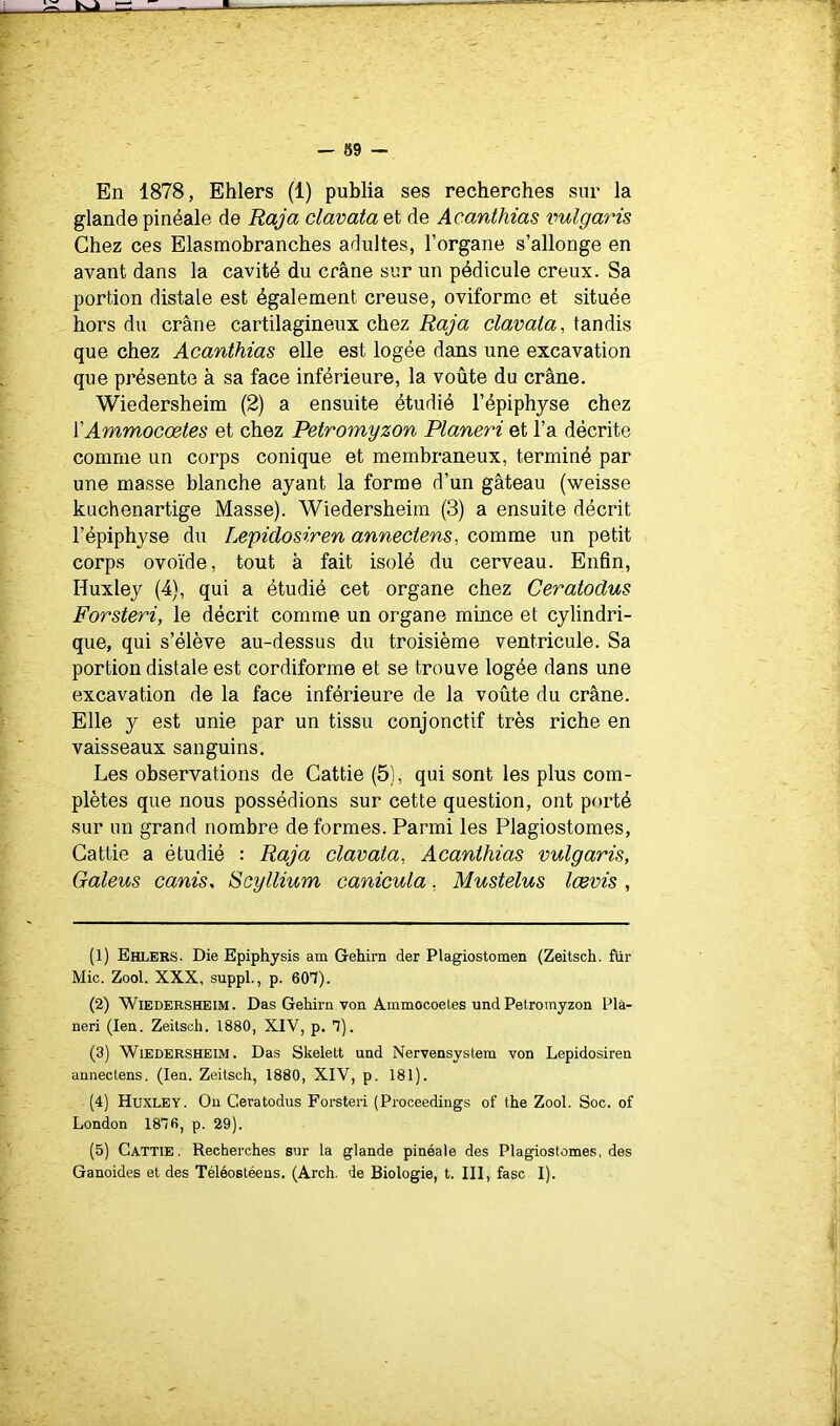 En 1878, Ehlers (1) publia ses recherches sur la glande pinéale de Raja clavata et de Acanthias vulgaris Chez ces Elasmobranches adultes, l’organe s’allonge en avant dans la cavité du crâne sur un pédicule creux. Sa portion distale est également creuse, oviformo et située hors du crâne cartilagineux chez Raja clavata, tandis que chez Acanthias elle est logée dans une excavation que présente à sa face inférieure, la voûte du crâne. Wiedersheim (2) a ensuite étudié l’épiphyse chez VAmmocœtes et chez Petromyzon Planeri et l’a décrite comme un corps conique et membraneux, terminé par une masse blanche ayant la forme d’un gâteau (weisse kuchenartige Masse). Wiedersheim (3) a ensuite décrit l’épiphyse du Lepidosiren annectens, comme un petit corps ovoïde, tout à fait isolé du cerveau. Enfin, Huxley (4), qui a étudié cet organe chez Ceratodus Forsteri, le décrit comme un organe mince et cylindri- que, qui s’élève au-dessus du troisième ventricule. Sa portion distale est cordiforme et se trouve logée dans une excavation de la face inférieure de la voûte du crâne. Elle y est unie par un tissu conjonctif très riche en vaisseaux sanguins. Les observations de Cattie (5), qui sont les plus com- plètes que nous possédions sur cette question, ont porté sur un grand nombre déformés. Parmi les Plagiostomes, Cattie a étudié : Raja clanata, Acanthias vulgaris, Galeus canis, ScyIlium canicula, Mustelus lœvis , (1) Ehlers. Die Epiphysis am Gehirn der Plagiostomen (Zeitsch. für Mic. Zool. XXX, suppL, p. 60^). (2) Wiedersheim. Das Gehirn von Ammocoetes undPetromyzon Plâ- neri (len. Zeitsch. 1880, XIV, p. tt). (3) Wiedersheim. Das Skelett und Nervensystem von Lepidosiren annectens. (len. Zeitsch, 1880, XIV, p. 181). (4) Huxley. On Ceratodus Forsteri (Proceedings of the Zool. Soc. of London 18*76, p. 29). (5) Cattie, Recherches sur la glande pinéale des Plagiostomes, des Ganoides et des Téléostéens. (Arch. de Biologie, t. III, fasc I).