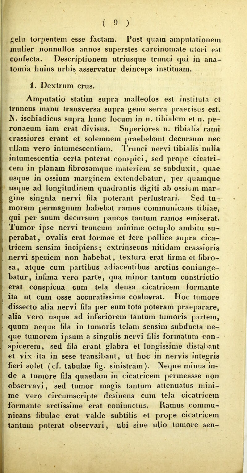 gelu torpentem esse factam. Post cpiata amputationem mulier nonnullos annos superstes carcinomate uteri est confecta. Descriptionem utriusque trunci qui in ana- tomia huius urbis asservatur deinceps instituam. 1. Dextrum crus. Amputatio statim supra malleolos est instituta et truncus manu transversa supra genu serra praecisus est. N. ischiadicus supra hunc locum in n. tibialem et n. pe- ronaeum iam erat divisus. Superioi'es n. tibialis rami crassiores erant et solemnem praebebrant decursum nec ullam vero intumescentiara. Trunci nervi tibialis nulla intumescentia certa poterat conspici, sed prope cicatri- cem in planam fibrosamque materiem se subduxit, quae usque in ossium marginem extendebatur, per quamque usque ad longitudinem cjuadrantis digiti ab ossium mar- gine singnla nervi fda poterant perlustrari. Sed tu-r- morem permagnum habebat ramus communicans tibiae, qui per suum decursum paucos tantum ramos emiserat. Tumor ipse nervi truncum minime octuplo ambitu su- perabat , ovalis erat formae et fere pollice supra cica- tricem sensim incipiens; extiunsecus nitidam crassioris nervi speciem non habebat, textura erat firma et fibro- sa, atque cum partibus adiacentibus arctius coni unge- batur, infima vero parte, qua minor tantum constrictio erat conspicua cum tela densa cicatricem formante ita ut cum osse accuratissime coaluerat. Doc tumore dissecto alia nervi fila per eum tota poteram praeparare, i alia vero uscpie ad inferiorem tantum tumoris partem, quum neque fila in tumoris telam sensim subducta ne- que tumorem ipsum a singulis nervi filis formatura con- t spicerem, sed fila erant glabra et longissime distabant et vix ita in sese transibant, ut hoc in nervis integris ! fieri solet (cf. tabulae fig. sinistram). Neque minus in- 1 de a tumore fila quaedam in cicatricem permeasse non observavi, sed tumor magis tantum attenuatus inini- 1: me vero circumscripte desinens cum tela cicatricem )[ foi’mante arctissime erat coniunctus. Ramus commu- nicans fibulae erat valde subtilis et prope cicatricem tantum poterat observari, ubi sine ullo tumore sen-