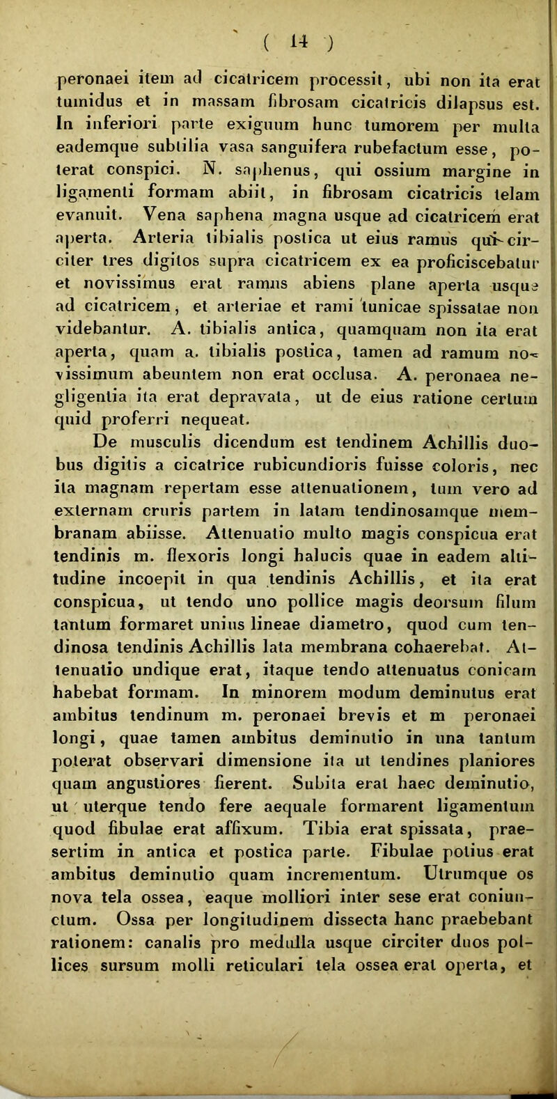 ( 1-1 ) peronaei iteui atl cicatricem processit, ubi non ita erat tumidus et in massam fibrosam cicatricis diJapsus est. In inferiori parte exiguum hunc tumorem per multa eademque subtilia vasa sanguifera rubefactum esse, po- terat conspici. N, saphenus, qui ossium margine in ligamenti formam abiit, in fibrosam cicatricis telam evanuit. Vena saphena magna usque ad cicatricem erat ajierta. Arteria tibialis postica ut eius ramus qu>cir- citer tres digitos supra cicatricem ex ea proficiscebatur et novissimus erat ramus abiens plane aperta usque ad cicatricem, et arteriae et rami 'tunicae spissatae non videbantur. A. tibialis antica, quamquam non ita erat aperta, quam a. tibialis postica, tamen ad ramum no^^ \issimum abeuntem non erat occlusa. A. peronaea ne- gligentia ita erat depravata, ut de eius ratione certum quid proferri nequeat. De musculis dicendum est tendinem Achillis duo- bus digitis a cicatrice rubicundioris fuisse coloris, nec ita magnam repertam esse attenuationem, tum vero ad externam cruris partem in latam tendinosamque mem- branam abiisse. Attenuatio multo magis conspicua erat tendinis m. flexoris longi halucis quae in eadem alti- tudine incoepit in qua tendinis Achillis, et ita erat conspicua, ut tendo uno pollice magis deorsum filum tantum formaret unius lineae diametro, quod cum ten- dinosa tendinis Achillis lata membrana cohaerebat. At- tenuatio undique erat, itaque tendo attenuatus conicam habebat formam. In minorem modum deminutus erat ambitus tendinum m. peronaei brevis et m peronaei longi, quae tamen ambitus deminutio in una tantum poterat observari dimensione ila ut tendines planiores quam angustiores fierent. Subita erat haec deminutio, ut ulerque tendo fere aequale formarent ligamentum quod fibulae erat affixum. Tibia erat spissata, prae- sertim in antica et postica parte. Fibulae potius erat ambitus deminutio quam incrementum. Utrumque os nova tela ossea, eaque molliori inter sese erat coniun- ctum. Ossa per longitudinem dissecta hanc praebebant rationem: canalis pro medulla usque circiter duos pol- lices sursum molli reticulari tela ossea erat operta, et