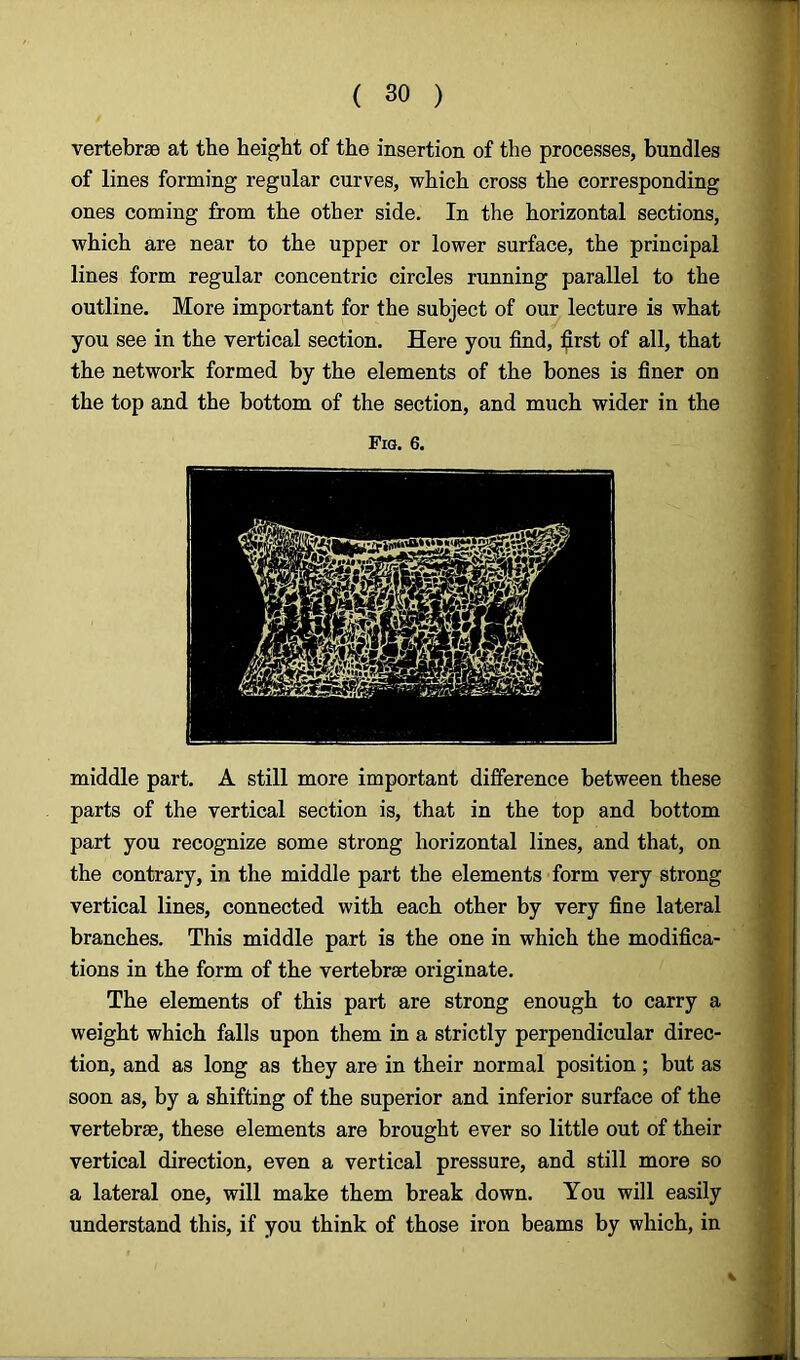 vertebrae at the height of the insertion of the processes, bundles of lines forming regular curves, which cross the corresponding ones coming from the other side. In the horizontal sections, which are near to the upper or lower surface, the principal lines form regular concentric circles running parallel to the outline. More important for the subject of our lecture is what you see in the vertical section. Here you find, first of all, that the network formed by the elements of the bones is finer on the top and the bottom of the section, and much wider in the Fig. 6. middle part. A still more important difference between these parts of the vertical section is, that in the top and bottom part you recognize some strong horizontal lines, and that, on the contrary, in the middle part the elements form very strong vertical lines, connected with each other by very fine lateral branches. This middle part is the one in which the modifica- tions in the form of the vertebrae originate. The elements of this part are strong enough to carry a weight which falls upon them in a strictly perpendicular direc- tion, and as long as they are in their normal position; but as soon as, by a shifting of the superior and inferior surface of the vertebrae, these elements are brought ever so little out of their vertical direction, even a vertical pressure, and still more so a lateral one, will make them break down. You will easily understand this, if you think of those iron beams by which, in