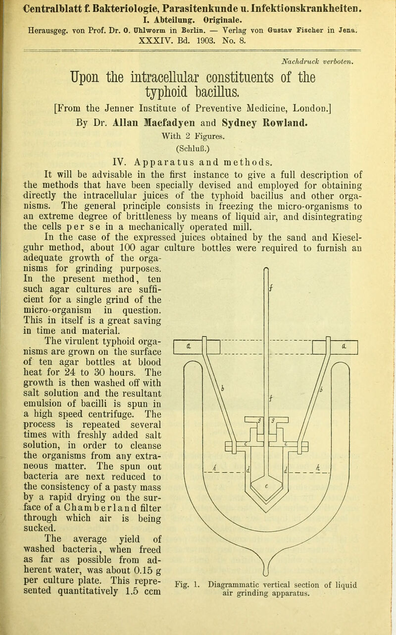 Centralblatt f. Bakteriologie, Parasitenkunde u.InfektionskrankheiteD. I. AMeilung'. Originale. Herausgeg. von Prof. Dr, 0. Uhlworm in Berlin. — Verlag von Gustav Fischer in Jena. XXXIV. Bd. 1903. No. 8. Nachdruck verboten. Upon the intracellular constituents of the typhoid bacillus. [From the Jenner Institute of Preventive Medicine, London.] By Dr. Allan Macfadyen and Sydney Rowland. With 2 Figures. (SchluB.) IV. Apparatus and methods. It will be advisable in the first instance to give a full description of the methods that have been specially devised and employed for obtaining directly the intracellular juices of the typhoid bacillus and other orga- nisms. The general principle consists in freezing the micro-organisms to an extreme degree of brittleness by means of liquid air, and disintegrating the cells per se in a mechanically operated mill. In the case of the expressed juices obtained by the sand and Kiesel- guhr method, about 100 agar culture bottles were required to furnish an adequate growth of the orga- nisms for grinding purposes. In the present method, ten such agar cultures are suffi- cient for a single grind of the micro-organism in question. This in itself is a great saving in time and material. The virulent typhoid orga- nisms are grown on the surface of ten agar bottles at blood heat for 24 to 30 hours. The growth is then washed off with salt solution and the resultant emulsion of bacilli is spun in a high speed centrifuge. The process is repeated several times with freshly added salt solution, in order to cleanse the organisms from any extra- neous matter. The spun out bacteria are next reduced to the consistency of a pasty mass by a rapid drying on the sur- face ofaChamberland filter through which air is being sucked. The average yield of washed bacteria, when freed as far as possible from ad- herent water, was about 0.15 g per culture plate. This repre- sented quantitatively 1.5 ccm Fig. 1. Diagrammatic vertical section of liquid air grinding apparatus.