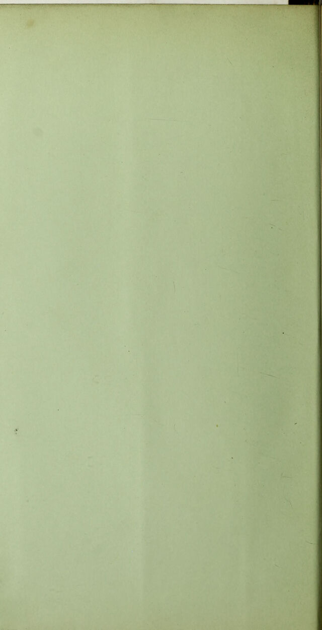 digitised image 2