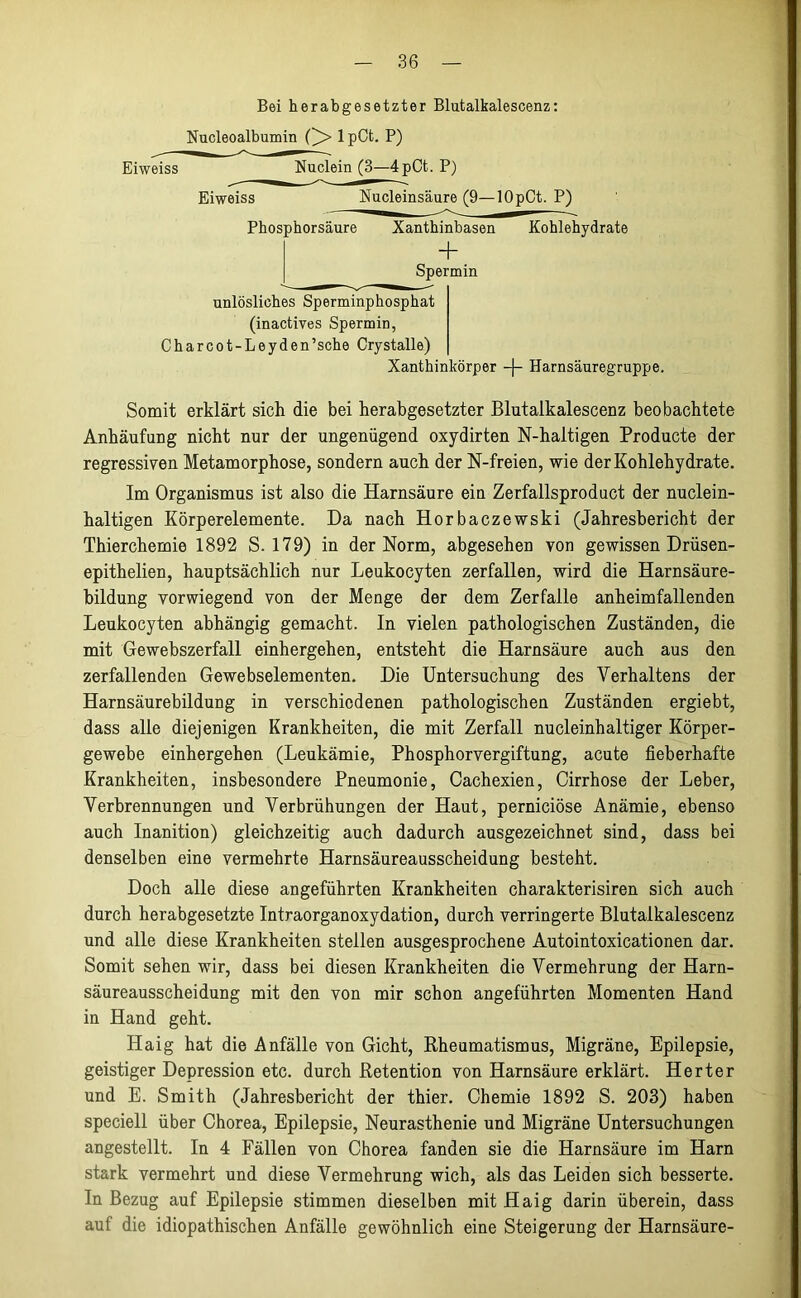 Bei herabgesetzter Blutalkalescenz: Nucleoalbumin (^> 1 pCt. P) Eiweiss Nuclein (3—4pCt. P) Eiweiss Nucleinsäure (9—lOpCt. P) Phosphorsäure Xanthinbasen Kohlehydrate + Spermin unlösliches Sperminphosphat (inactives Spermin, Charcot-Leyden’sche Crystalle) Xanthinkörper -J- Harnsäuregruppe. Somit erklärt sich die bei herabgesetzter Blutalkalescenz beobachtete Anhäufung nicht nur der ungenügend oxydirten N-haltigen Producte der regressiven Metamorphose, sondern auch der N-freien, wie der Kohlehydrate. Im Organismus ist also die Harnsäure ein Zerfallsproduct der nuclein- haltigen Körperelemente. Da nach Horbaczewski (Jahresbericht der Thierchemie 1892 S. 179) in der Norm, abgesehen von gewissen Drüsen- epithelien, hauptsächlich nur Leukocyten zerfallen, wird die Harnsäure- bildung vorwiegend von der Menge der dem Zerfalle anheimfallenden Leukocyten abhängig gemacht. In vielen pathologischen Zuständen, die mit Gewebszerfall einhergehen, entsteht die Harnsäure auch aus den zerfallenden Gewebselementen. Die Untersuchung des Verhaltens der Harnsäurebildung in verschiedenen pathologischen Zuständen ergiebt, dass alle diejenigen Krankheiten, die mit Zerfall nucleinhaltiger Körper- gewebe einhergehen (Leukämie, Phosphorvergiftung, acute fieberhafte Krankheiten, insbesondere Pneumonie, Cachexien, Cirrhose der Leber, Verbrennungen und Verbrühungen der Haut, perniciöse Anämie, ebenso auch Inanition) gleichzeitig auch dadurch ausgezeichnet sind, dass bei denselben eine vermehrte Harnsäureausscheidung besteht. Doch alle diese angeführten Krankheiten charakterisiren sich auch durch herabgesetzte Intraorganoxydation, durch verringerte Blutalkalescenz und alle diese Krankheiten stellen ausgesprochene Autointoxicationen dar. Somit sehen wir, dass bei diesen Krankheiten die Vermehrung der Harn- säureausscheidung mit den von mir schon angeführten Momenten Hand in Hand geht. Haig hat die Anfälle von Gicht, Rheumatismus, Migräne, Epilepsie, geistiger Depression etc. durch Retention von Harnsäure erklärt. Herter und E. Smith (Jahresbericht der thier. Chemie 1892 S. 203) haben speciell über Chorea, Epilepsie, Neurasthenie und Migräne Untersuchungen angestellt. In 4 Fällen von Chorea fanden sie die Harnsäure im Harn stark vermehrt und diese Vermehrung wich, als das Leiden sich besserte. In Bezug auf Epilepsie stimmen dieselben mit Haig darin überein, dass auf die idiopathischen Anfälle gewöhnlich eine Steigerung der Harnsäure-