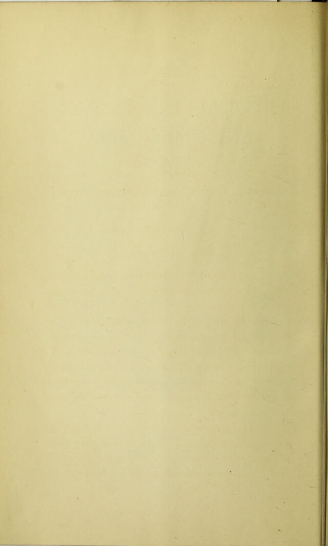 digitised image 2