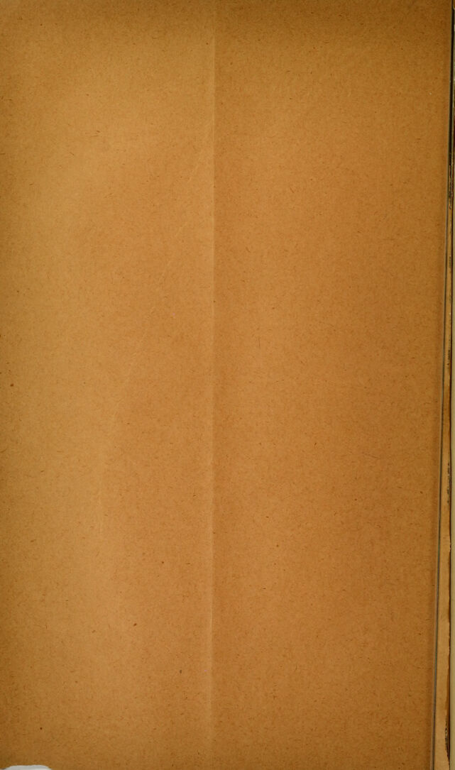 digitised image 2