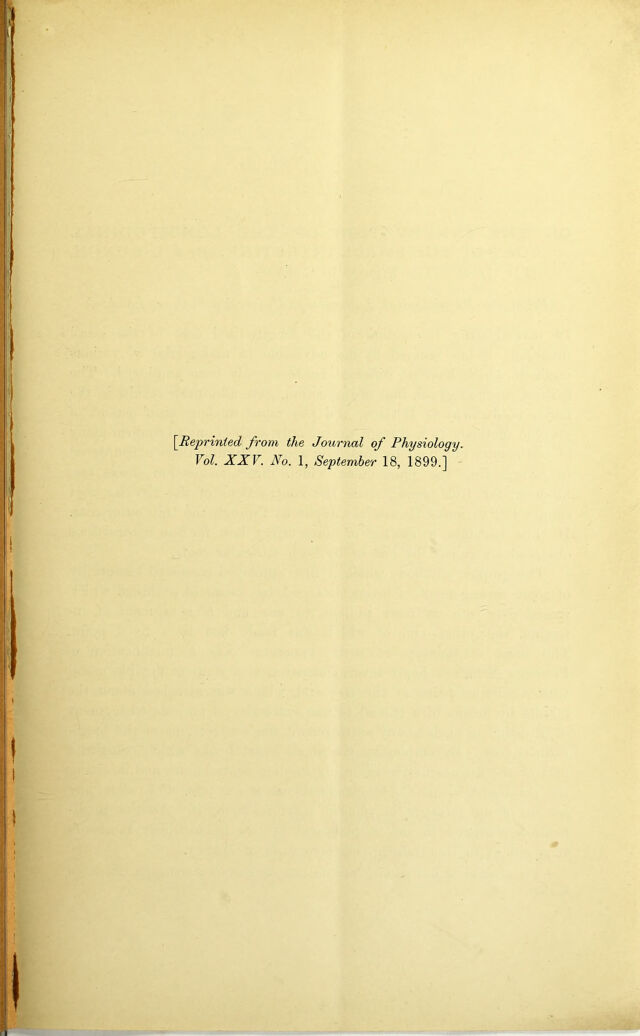 digitised image 3