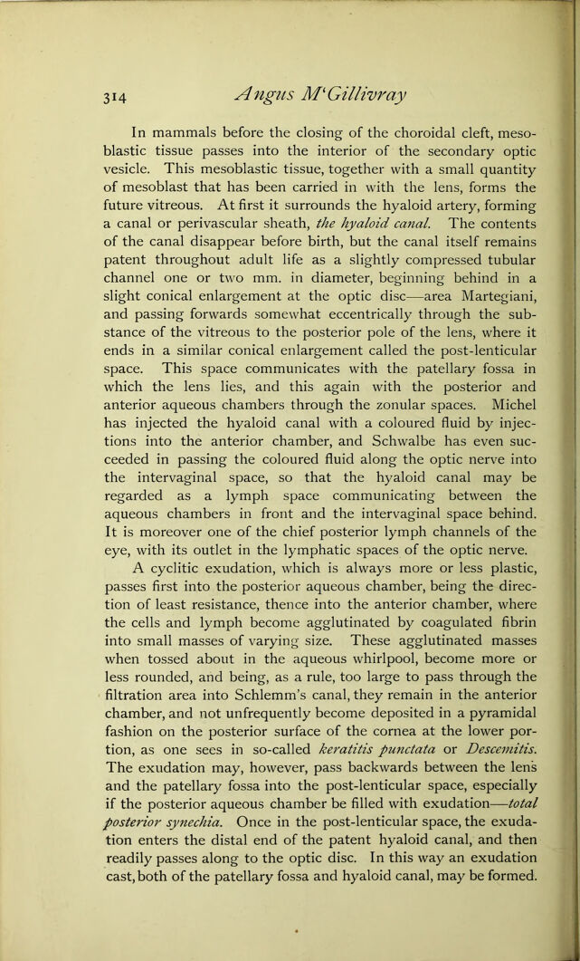 digitised image 2