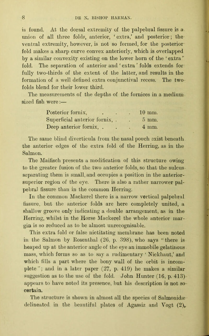 is found. At the dorsal extremity of the palpebral fissure is a union of all three folds, anterior, ‘extra,’ and posterior; the ventral extremity, however, is not so formed, for the posterior fold makes a sharp curve convex anteriorly, which is overlapped by a similar convexity existing on the lower horn of the ‘ extra ’ fold. The separation of anterior and ‘ extra ’ folds extends for fully two-thirds of the extent of the latter, and results in the formation of a well defined extra conjunctival recess. The two folds blend for their lower third. The measurements of the depths of the fornices in a medium sized fish were:— The same blind diverticula from the nasal pouch exist beneath the anterior edges of the extra fold of the Herring, as in the Salmon. The Maifisch presents a modification of this structure owing to the greater fusion of the two anterior folds, so that the sulcus separating them is small, and occupies a position in the anterior- superior region of the eye. There is also a rather narrower pal- pebral fissure than in the common Herring. In the common Mackerel there is a narrow vertical palpebral fissui’e, but the anterior folds are here completely united, a shallow groove only indicating a double arrangement, as in the Herring, whilst in the Horse Mackerel the whole anterior mar- gin is so reduced as to be almost unrecognisable. This extra fold or false nictitating membrane has been noted in the Salmon by Eosenlhal (26, p. .898), who says “ there is heaped up at the anterior angle of the eye an immobile gelatinous mass, which forms so as to say a rudimentary ‘ Nickhaut,’ and which fills a part where the bony wall of the orbit is incom- plete”; and in a later paper (27, p. 419) he makes a similar suggestion as to the use of the fold. John Hunter (16, p. 413) appears to have noted its presence, but his description is not so certain. The structure is shown in almost all the species of Salmonidai delineated in the beautiful plates of Agassiz and Vogt (2), Posterior fornix. Superficial anterior fornix, . 10 mm. 5 mm.