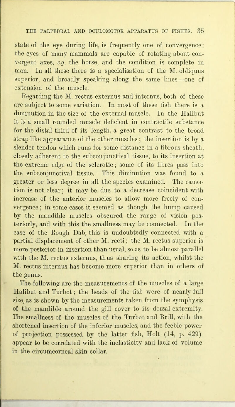 state of the eye during life, is frequently one of convergence: the eyes of many mammals are capable of rotating about con- vergent axes, e.g. the horse, and the condition is complete in man. In all these there is a specialisation of the M. obliquus superior, and broadly speaking along the same lines—one of extension of the muscle. Eegarding the M. rectus externus and internus, both of these are subject to some variation. In most of these fish there is a diminution in the size of the external muscle. In the Halibut it is a small rounded muscle, deficient in contractile substance for the distal third of its length, a great contrast to the broad strap-like appearance of the other muscles; the insertion is by a slender tendon which runs for some distance in a fibrous sheath, closely adherent to the subconjunctival tissue, to its insertion at the extreme edge of the sclerotic; some of its fibres pass into the subconjunctival tissue. This diminution was found to a greater or less degree in all the species examined. The causa- tion is not clear; it may be due to a decrease coincident with increase of the anterior muscles to allow more freely of con- vergence; in some cases it seemed as though the hump caused by the mandible muscles obscured the range of vision pos- teriorly, and with this the smallness may be connected. In the case of the Eough Dab, this is undoubtedly connected with a partial displacement of other M. recti; the M. rectus superior is more posterior in insertion than usual, so as to be almost parallel with the M. rectus externus, thus sharing its action, whilst the M. rectus internus has become more superior than in others of the genus. The following are the measurements of the muscles of a large Halibut and Turbot; the heads of the fish were of nearly full size, as is shown by the measurements taken from the symphysis of the mandible around the gill cover to its dorsal extremity. The smallness of the muscles of the Turbot and Brill, with the shortened insertion of the inferior muscles, and the feeble power of projection possessed by the latter fish, Holt (14, p. 429) appear to be correlated with the inelasticity and lack of volume in the circumcorneal skin collar.