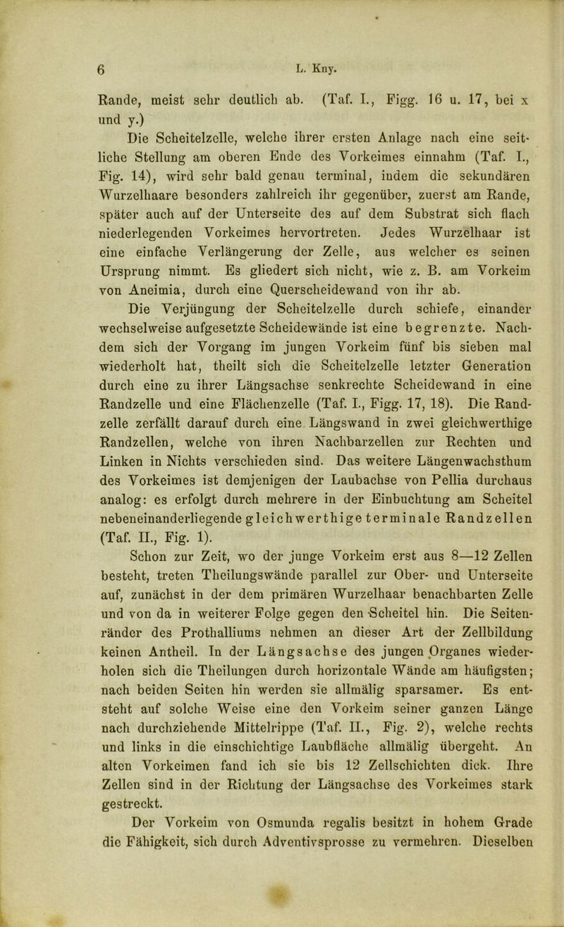 Rande, meist sehr deutlich ab. (Taf. I., Figg. 16 u. 17, bei x und y.) Die Scheitelzelle, welche ihrer ersten Anlage nach eine seit- liche Stellung am oberen Ende des Vorkeimes einnahm (Taf. I., Fig. 14), wird sehr bald genau terminal, indem die sekundären Wurzelhaare besonders zahlreich ihr gegenüber, zuerst am Rande, später auch auf der Unterseite des auf dem Substrat sich flach niederlegenden Vorkeimes hervortreten. Jedes Wurzelhaar ist eine einfache Verlängerung der Zelle, aus welcher es seinen Ursprung nimmt. Es gliedert sich nicht, wie z. B. am Vorkeim von Aneimia, durch eine Querscheidewand von ihr ab. Die Verjüngung der Scheitelzelle durch schiefe, einander wechselweise aufgesetzte Scheidewände ist eine begrenzte. Nach- dem sich der Vorgang im jungen Vorkeim fünf bis sieben mal wiederholt hat, theilt sich die Scheitelzelle letzter Generation durch eine zu ihrer Längsachse senkrechte Scheidewand in eine Randzelle und eine Flächenzelle (Taf. L, Figg. 17, 18). Die Rand- zelle zerfällt darauf durch eine Längswand in zwei gleichwerthige Randzellen, welche von ihren Nachbarzellen zur Rechten und Linken in Nichts verschieden sind. Das weitere Längenwachsthum des Vorkeimes ist demjenigen der Laubachse von Pellia durchaus analog: es erfolgt durch mehrere in der Einbuchtung am Scheitel nebeneinanderliegende gleichwerthige terminale Randzellen (Taf. II., Fig. 1). Schon zur Zeit, wo der junge Vorkeim erst aus 8—12 Zellen besteht, treten Theilungswände parallel zur Ober- und Unterseite auf, zunächst in der dem primären Wurzelhaar benachbarten Zelle und von da in weiterer Folge gegen den -Scheitel hin. Die Seiten- ränder des Prothalliums nehmen an dieser Art der Zellbildung keinen Antheil. In der Längsachse des jungen Organes wieder- holen sich die Theilungen durch horizontale Wände am häufigsten; nach beiden Seiten hin werden sie allmälig sparsamer. Es ent- steht auf solche Weise eine den Vorkeim seiner ganzen Länge nach durchziehende Mittelrippe (Taf. II., Fig. 2), welche rechts und links in die einschichtige Laubfläche allmälig übergeht. An alten Vorkeimen fand ich sie bis 12 Zellschichten dick. Ihre Zellen sind in der Richtung der Längsachse des Vorkeimes stark gestreckt. Der Vorkeim von Osmunda regalis besitzt in hohem Grade die Fähigkeit, sich durch Adventivsprosse zu vermehren. Dieselben