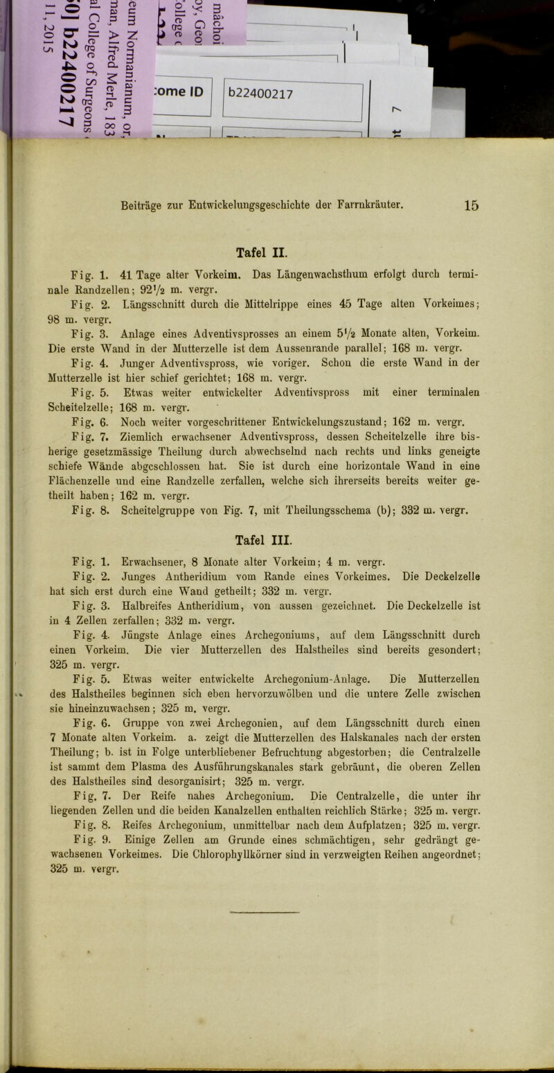 — 03 ft c 0 3 g 0 or > Ul ft QTQ 0 ft 0 0 Q. D3 0 C/3 2 3 0 c ft £a' ■-1 OP *~i ft C ft ■j 3 -4 3 c« 00 u> 0 :ome ID 022400217 — ZJ-. Beiträge zur Entwickehmgsgeschicbte der Farrnkräuter. 15 Tafel II. Fig. 1. 41 Tage alter Vorkeim. Das Läugenwaclisthiim erfolgt durch termi- uale Randzellen; 92V2 m. vergr. Fig. 2. Längsschnitt durch die Mittelrippe eines 45 Tage alten Vorkeimes; 98 m. vergr. Fig. 3. Anlage eines Adventivsprosses an einem 5‘/2 Monate alten, Vorkeim. Die erste Wand in der Mutterzelle ist dem Ausseurande parallel; 168 m. vergr. Fig. 4. Jimger Adventivspross, wie voriger. Schon die erste Wand in der Mutterzelle ist hier schief gerichtet; 168 m. vergr. Fig. 5. Etwas weiter entwickelter Adventivspross mit einer terminalen Scheitel zelle; 168 m. vergT. Fig. 6. Noch weiter vorgeschrittener Entwickelungszustand; 162 m, vergr. Fig. 7. Ziemlich erwachsener Adventivspross, dessen Scheitelzelle ihre bis- herige gesetzmässige Theilung durch abwechselnd nach rechts und links geneigte schiefe Wände abgeschlossen hat. Sie ist durch eine horizontale Wand in eine Flächenzelle und eine Randzelle zerfallen, welche sich ihrerseits bereits weiter ge- theilt haben; 162 m. vergr. Fig. 8. Scheitelgruppe von Fig. 7, mit Theilungsschema (b); 332 m. vergr. Tafel III. Fig. 1. Erwachsener, 8 Monate alter Vorkeim; 4 m. vergr. Fig. 2. Junges Antheridium vom Rande eines Vorkeimes. Die Deckelzelle hat sich erst durch eine Wand getheilt; 332 m. vergr. Fig. 3. Halbreifes Antheridium, von aussen gezeichnet. Die Deckelzelle ist in 4 Zellen zerfallen; 332 m. vergr. Fig. 4. Jüngste Anlage eines Archegoniums, auf dem Längsschnitt durch einen Vorkeim. Die vier Mutterzellen des Halstheiles sind bereits gesondert; 325 m. vergr. Fig. 5. Etwas weiter entwickelte Archegonium-Anlage. Die Mutterzellen des Halstheiles beginnen sich eben hervorzuw'ölben und die untere Zelle zwischen sie hineinzuwachsen; 325 m. vergr. Fig. 6. Gmppe von zwei Archegonien, auf dem Längsschnitt durch einen 7 Monate alten Vorkeim. a. zeigt die Mutterzellen des Halskanales nach der ersten Theilung; b. ist in Folge unterbliebener Befruchtung abgestorben; die Centralzelle ist sammt dem Plasma des Ausführungskanales stark gebräunt, die oberen Zellen des Halstheiles sind desorganisirt; 325 m. vergr. Fig, 7. Der Reife nahes Archegonium. Die Centralzelle, die unter ihr liegenden Zellen und die beiden Kanalzellen enthalten reichlich Stärke; 325 m. vergr. Fig. 8. Reifes Archegonium, unmittelbar nach dem Aufplatzen; 325 m. vergr. Fig. 9. Einige Zellen am Grunde eines schmächtigen, sehr gedrängt ge- wachsenen Vorkeimes. Die Chlorophyllkörner sind in verzweigten Reihen angeordnet; 325 m. vergr.