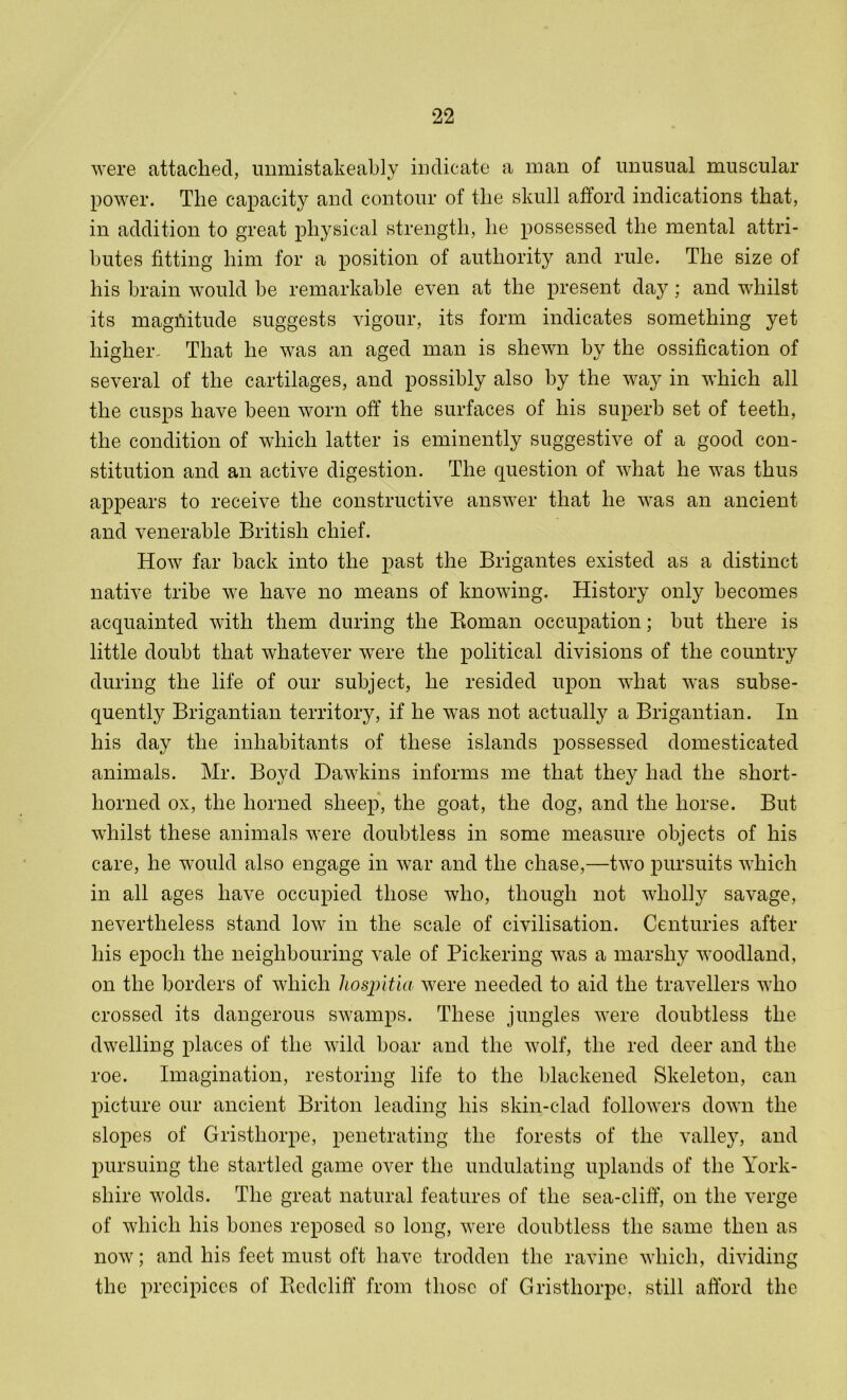 were attached, unmistakeably indicate a man of unusual muscular power. The capacity and contour of the skull afford indications that, in addition to great physical strength, he possessed the mental attri- butes fitting him for a position of authority and rule. The size of his brain would be remarkable even at the present day; and whilst its magnitude suggests vigour, its form indicates something yet higher- That he was an aged man is shewn by the ossification of several of the cartilages, and possibly also by the way in which all the cusps have been worn off the surfaces of his superb set of teeth, the condition of which latter is eminently suggestive of a good con- stitution and an active digestion. The question of what he was thus appears to receive the constructive answer that he was an ancient and venerable British chief. How far back into the past the Brigantes existed as a distinct native tribe we have no means of knowing. History only becomes acquainted with them during the Roman occupation; but there is little doubt that whatever wrere the political divisions of the country during the life of our subject, he resided upon what was subse- quently Brigantian territory, if he was not actually a Brigantian. In his day the inhabitants of these islands possessed domesticated animals. Mr. Boyd Dawkins informs me that they had the short- horned ox, the horned sheep, the goat, the dog, and the horse. But whilst these animals were doubtless in some measure objects of his care, he would also engage in war and the chase,—two pursuits which in all ages have occupied those who, though not wholly savage, nevertheless stand low in the scale of civilisation. Centuries after his epoch the neighbouring vale of Pickering was a marshy woodland, on the borders of which hospitia were needed to aid the travellers who crossed its dangerous swamps. These jungles were doubtless the dwelling places of the wild boar and the wolf, the red deer and the roe. Imagination, restoring life to the blackened Skeleton, can picture our ancient Briton leading his skin-clad followers down the slopes of Gristhorpe, penetrating the forests of the valley, and pursuing the startled game over the undulating uplands of the York- shire wolds. The great natural features of the sea-cliff, on the verge of which his bones reposed so long, were doubtless the same then as now; and his feet must oft have trodden the ravine which, dividing the precipices of Rcdcliff from those of Gristhorpe, still afford the