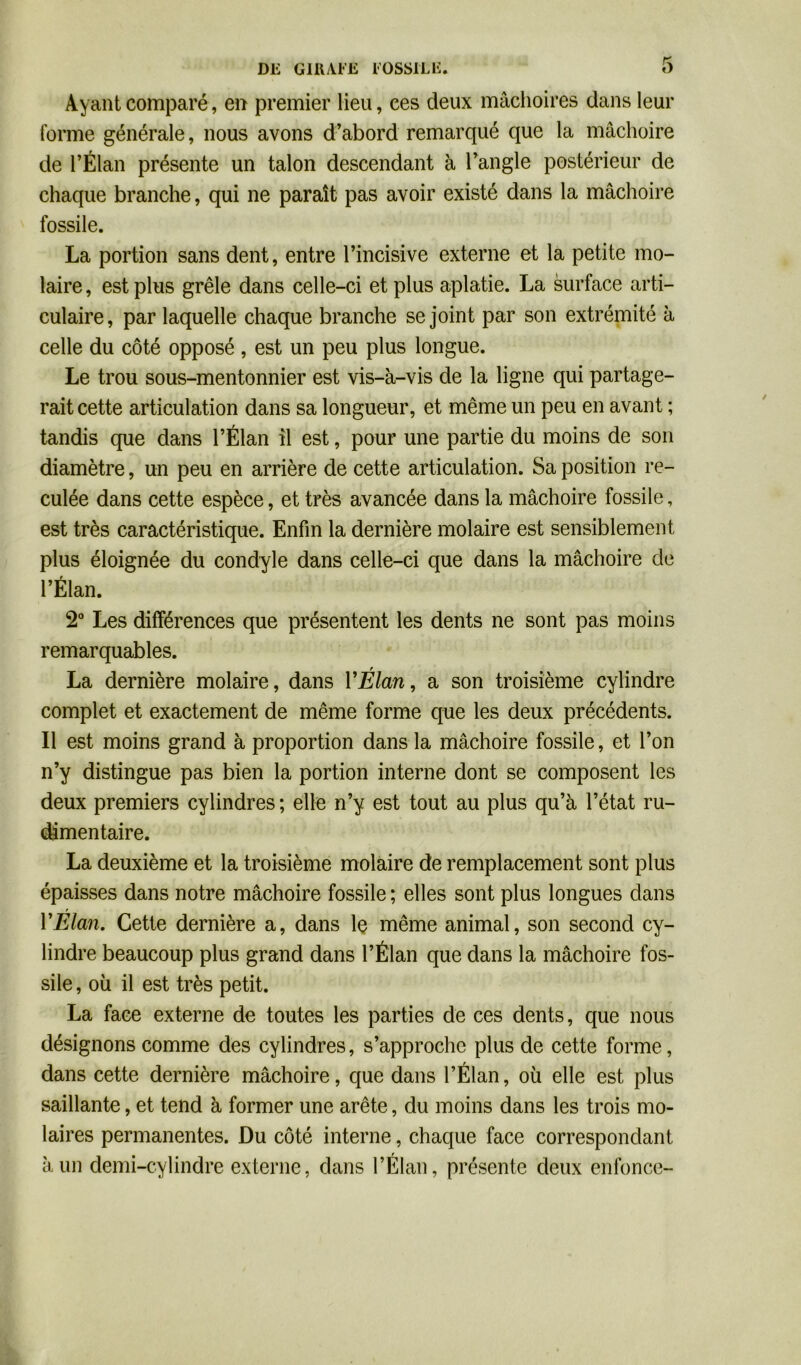 Ayant comparé, en premier lieu, ces deux mâchoires dans leur forme générale, nous avons d’abord remarqué que la mâchoire de l’Élan présente un talon descendant à l’angle postérieur de chaque branche, qui ne paraît pas avoir existé dans la mâchoire fossile. La portion sans dent, entre l’incisive externe et la petite mo- laire , est plus grêle dans celle-ci et plus aplatie. La surface arti- culaire, par laquelle chaque branche se joint par son extrémité à celle du côté opposé , est un peu plus longue. Le trou sous-mentonnier est vis-à-vis de la ligne qui partage- rait cette articulation dans sa longueur, et même un peu en avant ; tandis que dans l’Élan il est, pour une partie du moins de son diamètre, un peu en arrière de cette articulation. Sa position re- culée dans cette espèce, et très avancée dans la mâchoire fossile, est très caractéristique. Enfin la dernière molaire est sensiblement plus éloignée du condyle dans celle-ci que dans la mâchoire de l’Élan. 2° Les différences que présentent les dents ne sont pas moins remarquables. La dernière molaire, dans YÉlan, a son troisième cylindre complet et exactement de même forme que les deux précédents. Il est moins grand à proportion dans la mâchoire fossile, et l’on n’y distingue pas bien la portion interne dont se composent les deux premiers cylindres ; elle n’y est tout au plus qu’à l’état ru- dimentaire. La deuxième et la troisième molaire de remplacement sont plus épaisses dans notre mâchoire fossile ; elles sont plus longues dans YElan. Cette dernière a, dans le même animal, son second cy- lindre beaucoup plus grand dans l’Élan que dans la mâchoire fos- sile , où il est très petit. La face externe de toutes les parties de ces dents, que nous désignons comme des cylindres, s’approche plus de cette forme, dans cette dernière mâchoire, que dans l’Élan, où elle est plus saillante, et tend à former une arête, du moins dans les trois mo- laires permanentes. Du côté interne, chaque face correspondant à un demi-cylindre externe, dans l’Élan, présente deux enfonce-