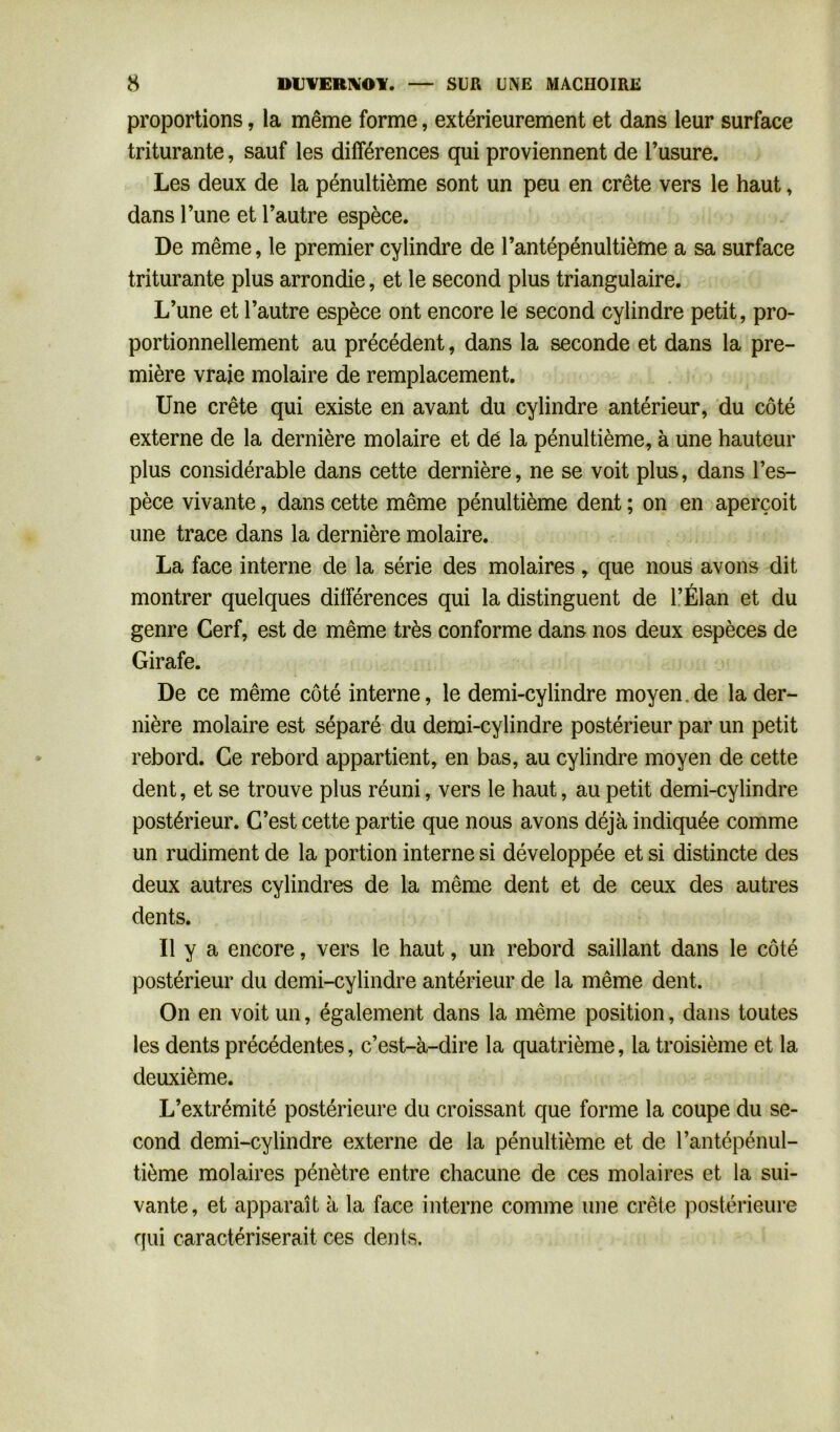 proportions, la même forme, extérieurement et dans leur surface triturante, sauf les différences qui proviennent de l’usure. Les deux de la pénultième sont un peu en crête vers le haut, dans l’une et l’autre espèce. De même, le premier cylindre de l’antépénultième a sa surface triturante plus arrondie, et le second plus triangulaire. L’une et l’autre espèce ont encore le second cylindre petit, pro- portionnellement au précédent, dans la seconde et dans la pre- mière vraie molaire de remplacement. Une crête qui existe en avant du cylindre antérieur, du côté externe de la dernière molaire et dé la pénultième, à une hauteur plus considérable dans cette dernière, ne se voit plus, dans l’es- pèce vivante, dans cette même pénultième dent ; on en aperçoit une trace dans la dernière molaire. La face interne de la série des molaires, que nous avons dit montrer quelques différences qui la distinguent de l’Élan et du genre Cerf, est de même très conforme dans nos deux espèces de Girafe. De ce même côté interne, le demi-cylindre moyen.de la der- nière molaire est séparé du demi-cylindre postérieur par un petit rebord. Ce rebord appartient, en bas, au cylindre moyen de cette dent, et se trouve plus réuni, vers le haut, au petit demi-cylindre postérieur. C’est cette partie que nous avons déjà indiquée comme un rudiment de la portion interne si développée et si distincte des deux autres cylindres de la même dent et de ceux des autres dents. Il y a encore, vers le haut, un rebord saillant dans le côté postérieur du demi-cylindre antérieur de la même dent. On en voit un, également dans la même position, dans toutes les dents précédentes, c’est-à-dire la quatrième, la troisième et la deuxième. L’extrémité postérieure du croissant que forme la coupe du se- cond demi-cylindre externe de la pénultième et de l’antépénul- tième molaires pénètre entre chacune de ces molaires et la sui- vante, et apparaît à la face interne comme une crête postérieure qui caractériserait ces dents.