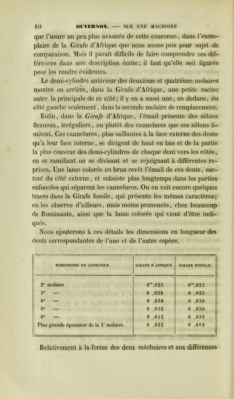 que l’usure un peu plus avancée de cette couronne, dans l’exem- plaire de la Girafe d’Afrique que nous avons pris pour sujet de comparaison. Mais il paraît difficile de faire comprendre ces dif- férences dans une description écrite; il faut qu’elle soit figurée pour les rendre évidentes. Le demi-cylindre antérieur des deuxième et quatrième molaires montre en arrière, dans la Girafe d’Afrique, une petite racine outre la principale de ce côté ; il y en a aussi une, en dedans, du côté gauche seulement, dans la seconde molaire de remplacement. Enfin, dans la Girafe d’Afrique, l’émail présente des sillons flexueux, irréguliers, ou plutôt des cannelures que ces sillons li- mitent. Ces cannelures, plus saillantes à la face externe des dents qu’à leur face interne, se dirigent de haut en bas et de la partie la plus convexe des demi-cylindres de chaque dent vers les côtés, en se ramifiant ou se divisant et se rejoignant à différentes re- prises. Une lame colorée en brun revêt l’émail de ces dents, sur- tout du côté externe, et subsiste plus longtemps dans les parties enfoncées qui séparent les cannelures. On en voit encore quelques traces dans la Girafe fossile, qui présente les mêmes caractères ; on les observe d’ailleurs, mais moins prononcés, chez beaucoup de Ruminants, ainsi que la lame colorée qui vient d’être indi- quée. Nous ajouterons à ces détails les dimensions en longueur des dents correspondantes de l’une et de l’autre espèce. DIMENSIONS EN LONGUEUR. GIRAFE DAFRIQUE. GIRAFE FOSSILE. 2e molaire 0m,025 i 0m,023 3' — 0 ,028 0 ,025 4e — 0 ,030 0 ,030 5e — 0 ,032 0 ,030 6e — o O liS*» 0 ,039 Plus grande épaisseur de la 3e molaire. . 0 ,022 0 ,019 Relativement à la forme des deux mâchoires et aux différences