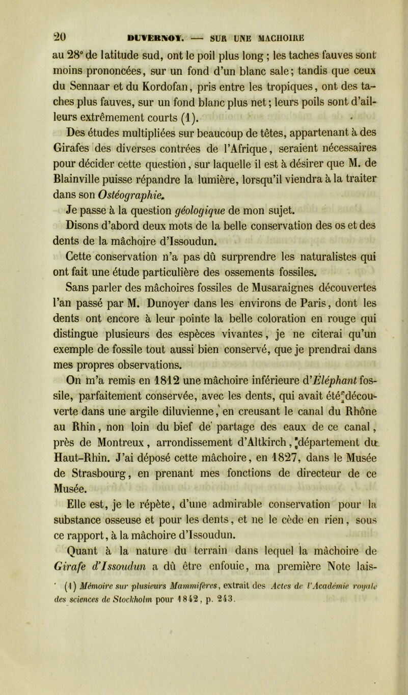 au 28° de latitude sud, ont le poil plus long ; les taches fauves sont moins prononcées, sur un fond d’un blanc sale; tandis que ceux du Sennaar et du Kordofan, pris entre les tropiques, ont des ta- ches plus fauves, sur un fond blanc plus net ; leurs poils sont d’ail- leurs extrêmement courts (1). Des études multipliées sur beaucoup de têtes, appartenant à des Girafes des diverses contrées de l’Afrique, seraient nécessaires pour décider cette question, sur laquelle il est à désirer que M. de Blainville puisse répandre la lumière, lorsqu’il viendra à la traiter dans son Ostéographie. Je passe à la question géologique de mon sujet. Disons d’abord deux mots de la belle conservation des os et des dents de la mâchoire d’Issoudun. Cette conservation n’a pas dû surprendre les naturalistes qui ont fait une étude particulière des ossements fossiles. Sans parler des mâchoires fossiles de Musaraignes découvertes l’an passé par M. Dunoyer dans les environs de Paris, dont les dents ont encore à leur pointe la belle coloration en rouge qui distingue plusieurs des espèces vivantes, je ne citerai qu’un exemple de fossile tout aussi bien conservé, que je prendrai dans mes propres observations. On m’a remis en 1812 une mâchoire inférieure d’Éléphant fos- sile, parfaitement conservée, avec les dents, qui avait été^décou- verte dans une argile diluvienne,' en creusant le canal du Rhône au Rhin, non loin du bief de partage des eaux de ce canal, près de Montreux, arrondissement d’Altkirch, département du: Haut-Rhin. J’ai déposé cette mâchoire, en 1827, dans le Musée de Strasbourg, en prenant mes fonctions de directeur de ce Musée. Elle est, je le répète, d’une admirable conservation pour la substance osseuse et pour les dents, et ne le cède en rien, sous ce rapport, à la mâchoire d’Issoudun. i Quant à la nature du terrain dans lequel la mâchoire de Girafe d’Issoudun a dû être enfouie, ma première Note lais- ' (1) Mémoire sur plusieurs Mammifères, extrait des Actes de l’Académie royale des sciences de Stockholm pour 1842, p. 243.