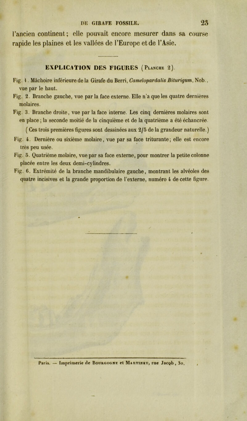 l’ancien continent; elle pouvait encore mesurer dans sa course rapide les plaines et les vallées de l’Europe et de l’Asie. EXPLICATION DES FIGURES ( Planche 2). Fig. I. Mâchoire inférieure de la Girafe du Berri, Camelopardalis Biturigum, Nob., vue par le haut. Fig. 2. Branche gauche, vue par la face externe. Elle n’a que les quatre dernières molaires. Fig. 3. Branche droite, vue par la face interne. Les cinq dernières molaires sont en place ; la seconde moitié de la cinquième et de la quatrième a été échancrée. ( Ces trois premières figures sont dessinées aux 2/5 de la grandeur naturelle.) Fig. 4. Dernière ou sixième molaire, vue par sa face triturante; elle est encore i très peu usée. Fig. 5. Quatrième molaire, vue par sa face externe, pour montrer la petite colonne placée entre les deux demi-cylindres. Fig. 6. Extrémité de la branche mandibulaire gauche, montrant les alvéoles des quatre incisives et la grande proportion de l’externe, numéro 4 de cette figure. / Paris. — Imprimerie de Bourgogne et Martinet, rne Jacob, 3o.