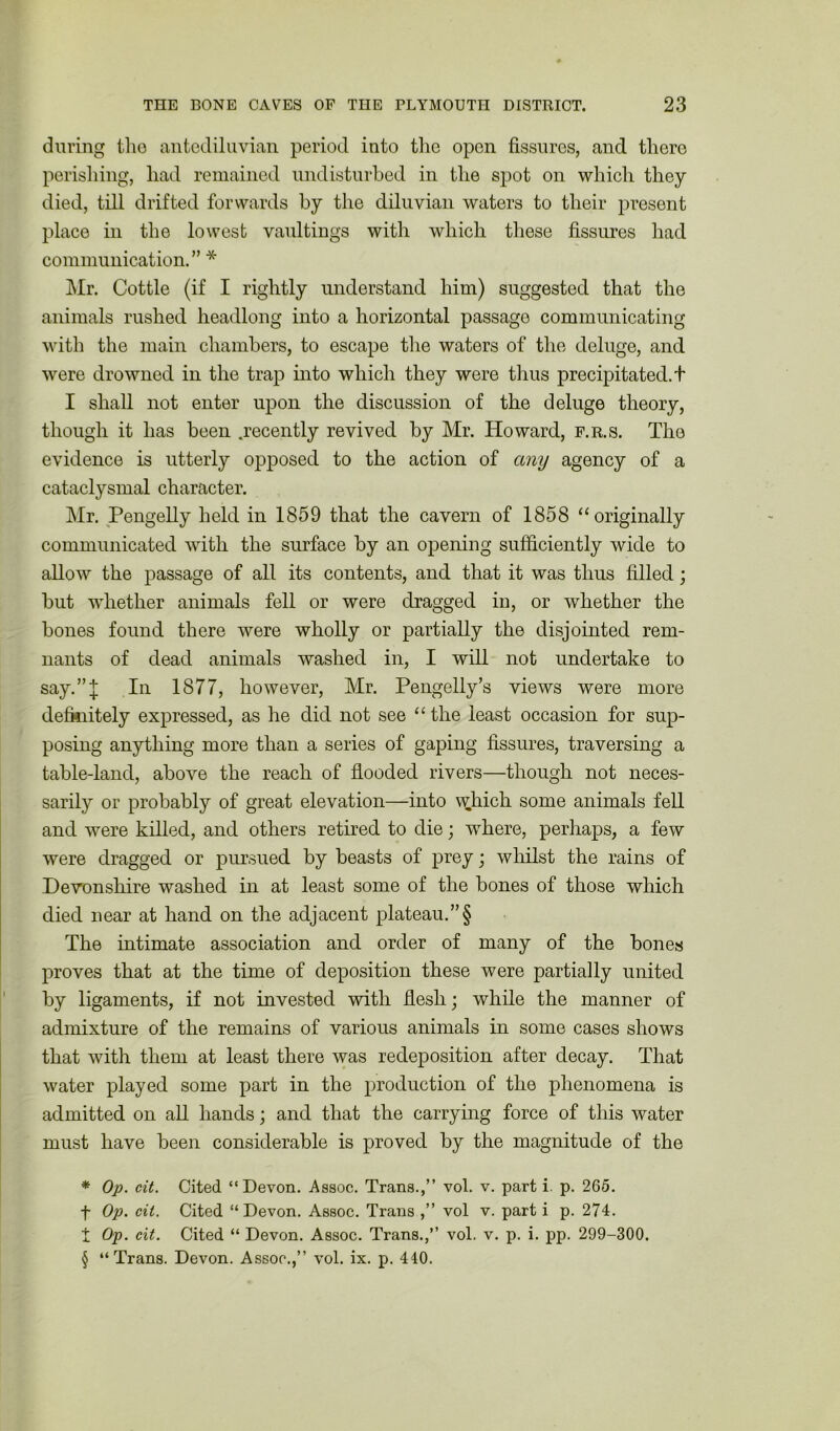 during the antediluvian period into the open fissures, and there perishing, had remained undisturbed in the spot on which they died, till drifted forwards by the diluvian waters to their present place in the lowest vaultings with which these fissures had communication.” * * * § Mr. Cottle (if I rightly understand him) suggested that the animals rushed headlong into a horizontal passage communicating with the main chambers, to escape the waters of the deluge, and were drowned in the trap into which they were thus precipitated, t I shall not enter upon the discussion of the deluge theory, though it has been .recently revived by Mr. Howard, f.r.s. The evidence is utterly opposed to the action of any agency of a cataclysmal character. Mr. Pengelly held in 1859 that the cavern of 1858 “originally communicated with the surface by an opening sufficiently wide to allow the passage of all its contents, and that it was thus filled; but whether animals fell or were dragged in, or whether the bones found there were wholly or partially the disjointed rem- nants of dead animals washed in, I will not undertake to say.”;j; In 1877, however, Mr. Pengelly’s views were more definitely expressed, as he did not see “the least occasion for sup- posing anything more than a series of gaping fissures, traversing a table-land, above the reach of flooded rivers—though not neces- sarily or probably of great elevation—into which some animals fell and were killed, and others retired to die; where, perhaps, a few were dragged or pursued by beasts of prey; whilst the rains of Devonshire washed in at least some of the bones of those which died near at hand on the adjacent plateau.”§ The intimate association and order of many of the bones proves that at the time of deposition these were partially united by ligaments, if not invested with flesh; while the manner of admixture of the remains of various animals in some cases shows that with them at least there was redeposition after decay. That water played some part in the production of the phenomena is admitted on all hands; and that the carrying force of this water must have been considerable is proved by the magnitude of the * Op. cit. Cited “Devon. Assoc. Trans.,” vol. v. part i. p. 265. f Op. cit. Cited “Devon. Assoc. Trans ,” vol v. part i p. 274. t Op. cit. Cited “ Devon. Assoc. Trans.,” vol. v. p. i. pp. 299-300. § “Trans. Devon. Assoc.,” vol. ix. p. 440.