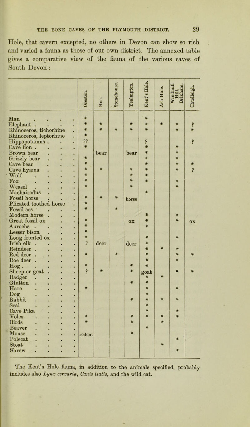Hole, that cavern excepted, no others in Devon can show so rich and varied a fauna as those of our own district. The annexed table gives a comparative view of the fauna of the various caves of South Devon: Oreston. Hoe. Stonehouse. Yealmpton. Kent’s Hole. Ash Hole. Windmill Hill, Brixham. Chudleigh. Man * * Elephant . • * * * * * ? Rhinoceros, tichorhine * * * * * * * Rhinoceros, leptorhine • Hippopotamus . P? ? ? Cave lion . * * * Brown hear bear hear # * Grizzly bear * * * Cave hear 0 * * * Cave hyaena * * * * ? Wolf * * * Fox * * * * Weasel * * * Machairodus * Fossil horse * * * horse Plicated toothed horse * Fossil ass * * Modern horse . * * Great fossil ox * OX * # OX Aurochs . * * Lesser bison * Long fronted ox * * * Irish elk . ? deer deer * Reindeer . * * * Red deer . * * * * * Roe deer . * * Hog . . . . * * * Sheep or goat . ? * * goat « * Badger * * Glutton . * * Hare * * * Dog * Rabbit . * * * * Seal * Cave Pika 0 * Voles * * * * * Birds * * * Beaver * Mouse rodent * Polecat * Stoat * Shrew * The Kent’s Hole fauna, in addition to the animals specified, probably includes also Lynx cervaria, Canis isatis, and the wild cat.