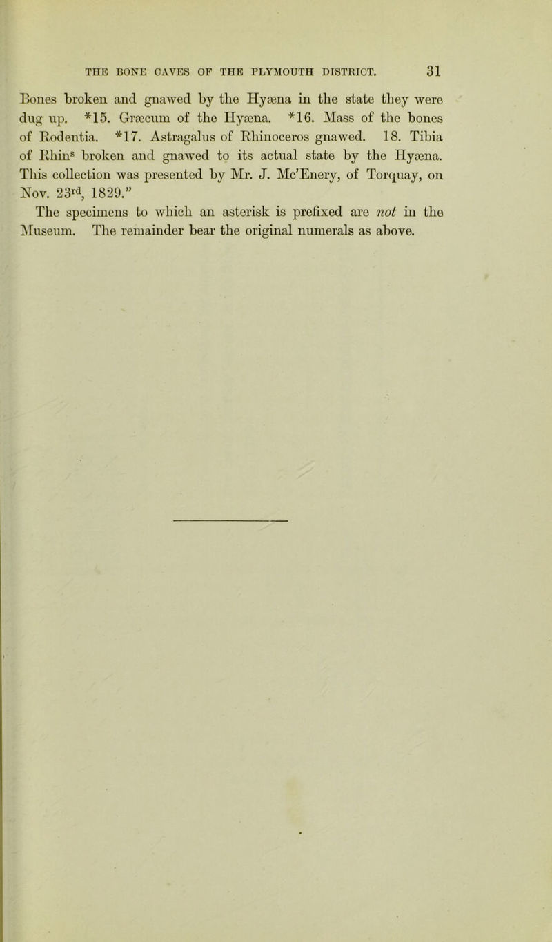 Bones broken and gnawed by the Hyaena in the state they were dug up. *15. Graecum of the Hyaena. *16. Mass of the bones of Rodentia. *17. Astragalus of Rhinoceros gnawed. 18. Tibia of Rhins broken and gnawed to its actual state by the Hyaena. This collection was presented by Mr. J. Mc’Enery, of Torquay, on Nov. 23rd, 1829.” The specimens to which an asterisk is prefixed are not in the Museum. The remainder bear the original numerals as above.