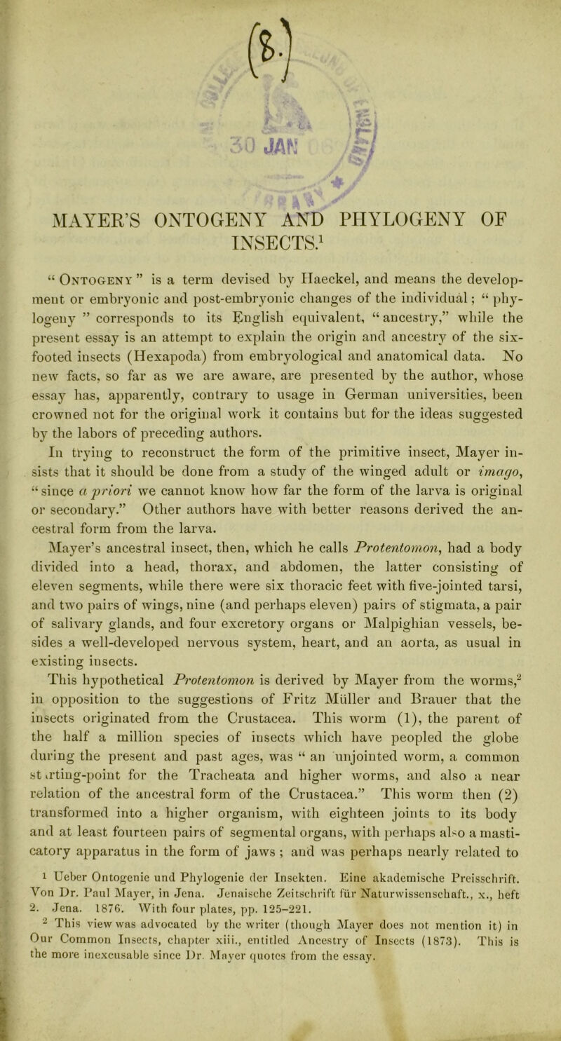> t a MAYER’S ONTOGENY AND PHYLOGENY OF INSECTS.1 “ Ontogeny ” is a term devised by Haeckel, and means the develop- ment or embryonic and post-embryonic changes of the individual; “ phy- logeny ” corresponds to its English equivalent, “ancestry,” while the present essay is an attempt to explain the origin and ancestry of the six- footed insects (Hexapoda) from embryological and anatomical data. No new facts, so far as we are aware, are presented by the author, whose essay has, apparently, contrary to usage in German universities, been crowned not for the original work it contains but for the ideas suggested by the labors of preceding authors. In trying to reconstruct the form of the primitive insect, Mayer in- sists that it should be done from a study of the winged adult or imago, “since a priori we cannot know how far the form of the larva is original or secondary.” Other authors have with better reasons derived the an- cestral form from the larva. Mayer’s ancestral insect, then, which he calls Protentomon, had a body divided into a head, thorax, and abdomen, the latter consisting of eleven segments, while there were six thoracic feet with five-jointed tarsi, and two pairs of wings, nine (and perhaps eleven) pairs of stigmata, a pair of salivary glands, and four excretory organs or Malpighian vessels, be- sides a well-developed nervous system, heart, and an aorta, as usual in existing insects. This hypothetical Protentomon is derived by Mayer from the worms,2 in opposition to the suggestions of Fritz Muller and Brauer that the insects originated from the Crustacea. This worm (1), the parent of the half a million species of insects which have peopled the globe during the present and past ages, was “ an unjointed worm, a common st ^ting-point for the Tracheata and higher worms, and also a near relation of the ancestral form of the Crustacea.” This worm then (2) transformed into a higher organism, with eighteen joints to its body and at least fourteen pairs of segmental organs, with perhaps also a masti- catory apparatus in the form of jaws ; and was perhaps nearly related to 1 Ueber Ontogenie und Phylogenie der Insekten. Eine akadcmische Preisschrift. Von Dr. Paul Mayer, in Jena. Jenaische Zeitschrift fur Naturwissenschaft., x., heft 2. Jena. 1876. With four plates, pp. 125-221. 2 This view was advocated by the writer (though Mayer does not mention it) in Our Common Insects, chapter xiii., entitled Ancestry of Insects (1873). This is the more inexcusable since Dr. Mayer quotes from the essay.