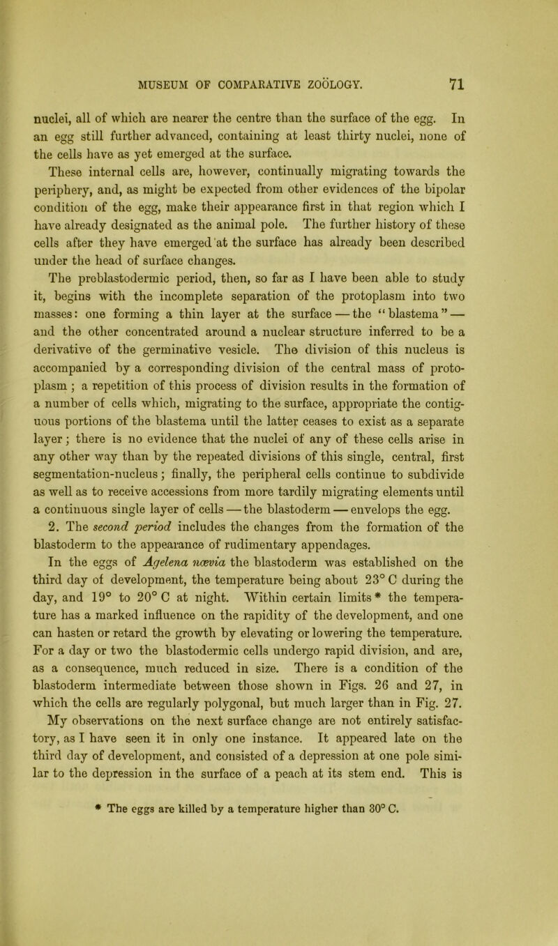 nuclei, all of which are nearer the centre than the surface of the egg. In an egg still further advanced, containing at least thirty nuclei, none of the cells have as yet emerged at the surface. These internal cells are, however, continually migrating towards the periphery, and, as might be expected from other evidences of the bipolar condition of the egg, make their appearance first in that region which I have already designated as the animal pole. The further history of these cells after they have emerged at the surface has already been described under the head of surface changes. The problastodermic period, then, so far as I have been able to study it, begins with the incomplete separation of the protoplasm into two masses: one forming a thin layer at the surface — the “blastema” — and the other concentrated around a nuclear structure inferred to be a derivative of the germinative vesicle. Tho division of this nucleus is accompanied by a corresponding division of the central mass of proto- plasm ; a repetition of this process of division results in the formation of a number of cells which, migrating to the surface, appropriate the contig- uous portions of the blastema until the latter ceases to exist as a separate layer; there is no evidence that the nuclei of any of these cells arise in any other way than by the repeated divisions of this single, central, first segmentation-nucleus; finally, the peripheral cells continue to subdivide as well as to receive accessions from more tardily migrating elements until a continuous single layer of cells — the blastoderm — envelops the egg. 2. The second 'period includes the changes from the formation of the blastoderm to the appearance of rudimentary appendages. In the eggs of Agelena ncevia the blastoderm was established on the third day of development, the temperature being about 23° C during the day, and 19° to 20° C at night. Within certain limits* the tempera- ture has a marked influence on the rapidity of the development, and one can hasten or retard the growth by elevating or lowering the temperature. For a day or two the blastodermic cells undergo rapid division, and are, as a consequence, much reduced in size. There is a condition of the blastoderm intermediate between those shown in Figs. 26 and 27, in which the cells are regularly polygonal, but much larger than in Fig. 27. My observations on the next surface change are not entirely satisfac- tory, as I have seen it in only one instance. It appeared late on the third clay of development, and consisted of a depression at one pole simi- lar to the depression in the surface of a peach at its stem end. This is * The eggs are killed by a temperature higher than 30° C.