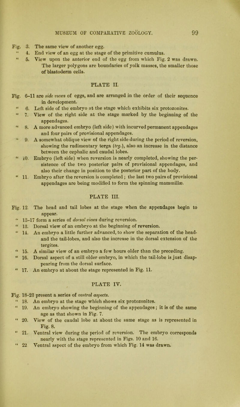 Fig. 3. The same view of another egg. “ 4. End view of an egg at the stage of the primitive cumulus. “ 5. View upon the anterior end of the egg from which Fig. 2 was drawn. The larger polygons arc boundaries of yolk masses, the smaller those of blastoderm cells. PLATE II. Fig. 6-11 are side views of eggs, and are arranged in the order of their sequence in development. “ 6. Left side of the embryo at the stage which exhibits six protozonites. “ 7. View of the right side at the stage marked by the beginning of the appendages. “ 8. A more advanced embryo (left side) with incurved permanent appendages and four pairs of provisional appendages. “ 9. A somewhat oblique view of the right side during the period of reversion, showing the rudimentary terga (trg.), also an increase in the distance between the cephalic and caudal lobes. “ 10. Embryo (left side) when reversion is nearly completed, showing the per- sistence of the two posterior pairs of provisional appendages, and also their change in position to the posterior part of the body. “ 11. Embryo after the reversion is completed ; the last two pairs of provisional appendages are being modified to form the spinning mammillae. PLATE III. The head and tail lobes at the stage when the appendages begin to appear. 17 form a series of dorsal views during reversion. Dorsal view of an embryo at the beginning of reversion. An embryo a little further advanced, to show the separation of the head- and the tail-lobes, and also the increase in the dorsal extension of the tergites. A similar view of an embryo a few hours older than the preceding. Dorsal aspect of a still older embryo, in whicli the tail-lobe is just disap- pearing from the dorsal surface. An embryo at about the stage represented in Fig. 11. PLATE IV. / Fig. 18-23 present a series of ventral aspects. “ 18. An embryo at the stage which shows six protozonites. “ 19. An embryo showing the beginning of the appendages; it is of the same age as that shown in Fig. 7. “ 20. View of the caudal lobe at about the same stage as is represented in Fig. 8. “ 21. Ventral view during the period of reversion. The embryo corresponds nearly with the stage represented in Figs. 10 and 16. “ 22 Ventral aspect of the embryo from which Fig. 14 was drawn. Fig. 12. “ 13- “ 13. “ 14. “ 15. “ 16. “ 17.