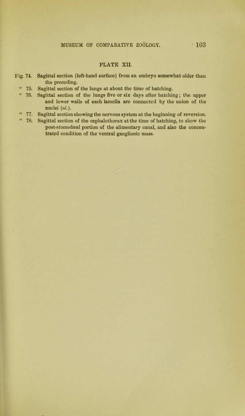 PLATE XII. Fig. 74.  75. “ 76. “ 77. “ 78. Sagittal section (left-hand surface) from an embryo somewhat older than the preceding. Sagittal section of the lungs at about the time of hatching. Sagittal section of the lungs five or six days after hatching; the upper and lower walls of each lamella are connected by the union of the nuclei (nl.). Sagittal section showing the nervous system at the beginning of reversion. Sagittal section of the cephalothorax at the time of hatching, to show the post-stomodeeal portion of the alimentary canal, and also the concen- trated condition of the ventral ganglionic mass.