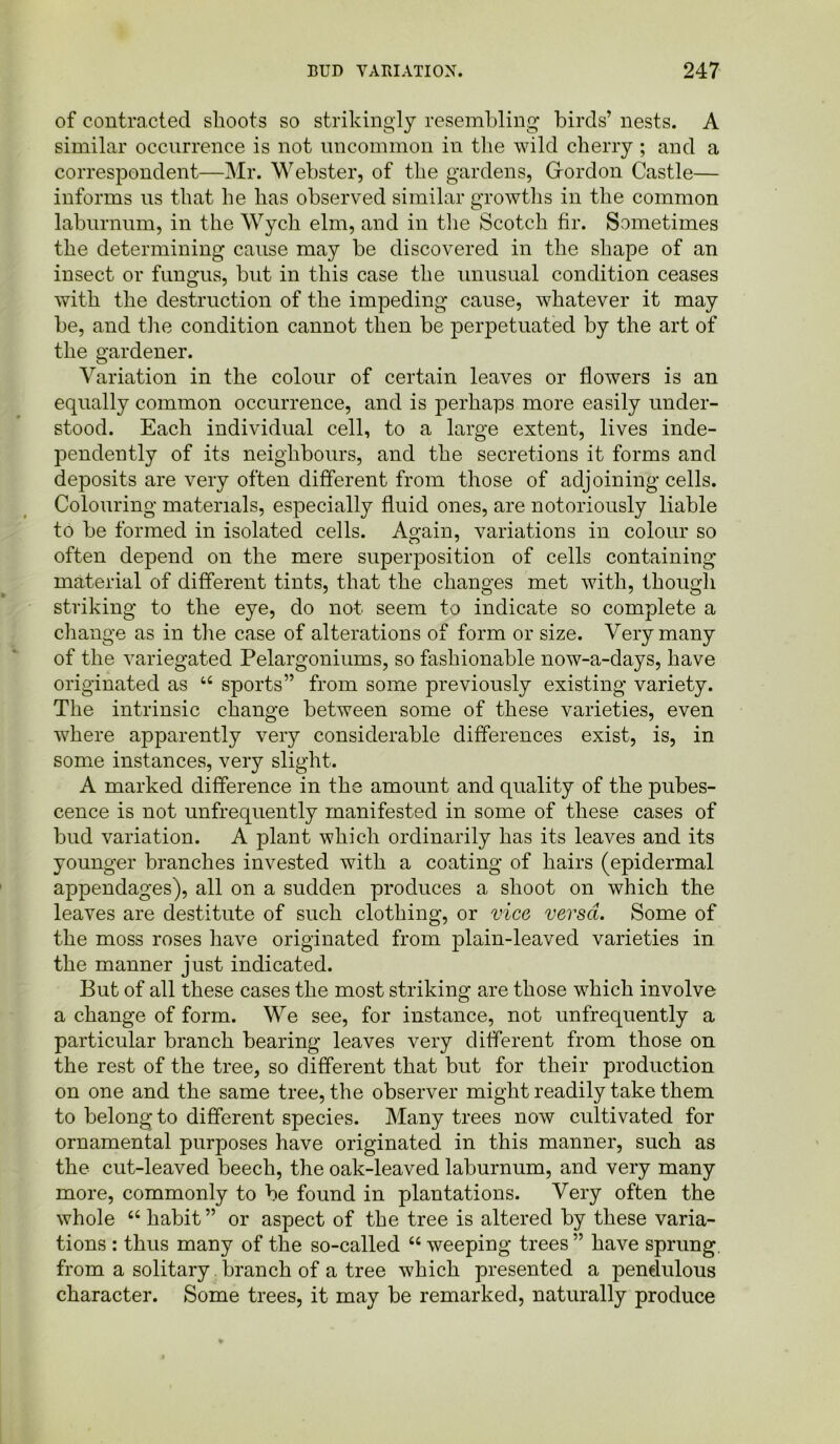 of contracted shoots so strikingly resembling birds’ nests. A similar occurrence is not uncommon in the wild cherry ; and a correspondent—Mr. Webster, of the gardens, Gordon Castle— informs us that be has observed similar growths in the common laburnum, in the Wycli elm, and in the Scotch fir. Sometimes the determining cause may be discovered in the shape of an insect or fungus, but in this case the unusual condition ceases with the destruction of the impeding cause, whatever it may be, and the condition cannot then be perpetuated by the art of the gardener. Variation in the colour of certain leaves or flowers is an equally common occurrence, and is perhaps more easily under- stood. Each individual cell, to a large extent, lives inde- pendently of its neighbours, and the secretions it forms and deposits are very often different from those of adjoining cells. Colouring materials, especially fluid ones, are notoriously liable to be formed in isolated cells. Again, variations in colour so often depend on the mere superposition of cells containing material of different tints, that the changes met with, though striking to the eye, do not seem to indicate so complete a change as in the case of alterations of form or size. Very many of the variegated Pelargoniums, so fashionable now-a-days, have originated as “ sports” from some previously existing variety. The intrinsic change between some of these varieties, even where apparently very considerable differences exist, is, in some instances, very slight. A marked difference in the amount and quality of the pubes- cence is not unfrequently manifested in some of these cases of bud variation. A plant which ordinarily has its leaves and its younger branches invested with a coating of hairs (epidermal appendages), all on a sudden produces a shoot on which the leaves are destitute of such clothing, or vice versa. Some of the moss roses have originated from plain-leaved varieties in the manner just indicated. But of all these cases the most striking are those which involve a change of form. We see, for instance, not unfrequently a particular branch bearing leaves very different from those on the rest of the tree, so different that but for their production on one and the same tree, the observer might readily take them to belong to different species. Many trees now cultivated for ornamental purposes have originated in this manner, such as the cut-leaved beech, the oak-leaved laburnum, and very many more, commonly to be found in plantations. Very often the whole “habit” or aspect of the tree is altered by these varia- tions : thus many of the so-called 66 weeping trees ” have sprung, from a solitary branch of a tree which presented a pendulous character. Some trees, it may be remarked, naturally produce