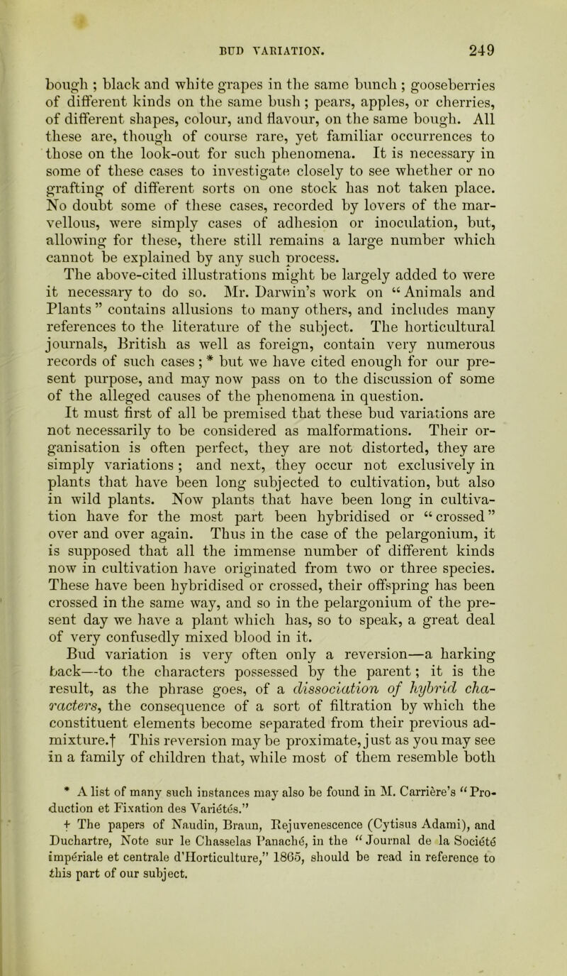 bough ; black and white grapes in the same bunch ; gooseberries of different kinds on the same bush ; pears, apples, or cherries, of different shapes, colour, and flavour, on the same bough. All these are, though of course rare, yet familiar occurrences to those on the look-out for such phenomena. It is necessary in some of these cases to investigate closely to see whether or no grafting of different sorts on one stock has not taken place. No doubt some of these cases, recorded by lovers of the mar- vellous, were simply cases of adhesion or inoculation, but, allowing for these, there still remains a large number which cannot be explained by any such process. The above-cited illustrations might be largely added to were it necessary to do so. Mr. Darwin’s work on “Animals and Plants ” contains allusions to many others, and includes many references to the literature of the subject. The horticultural journals, British as well as foreign, contain very numerous records of such cases; * but we have cited enough for our pre- sent purpose, and may now pass on to the discussion of some of the alleged causes of the phenomena in question. It must first of all be premised that these bud variations are not necessarily to be considered as malformations. Their or- ganisation is often perfect, they are not distorted, they are simply variations ; and next, they occur not exclusively in plants that have been long subjected to cultivation, but also in wild plants. Now plants that have been long in cultiva- tion have for the most part been hybridised or “ crossed ” over and over again. Thus in the case of the pelargonium, it is supposed that all the immense number of different kinds now in cultivation have originated from two or three species. These have been hybridised or crossed, their offspring has been crossed in the same way, and so in the pelargonium of the pre- sent day we have a plant which has, so to speak, a great deal of very confusedly mixed blood in it. Bud variation is very often only a reversion—a harking back—to the characters possessed by the parent; it is the result, as the phrase goes, of a dissociation of hybrid cha- racters, the consequence of a sort of filtration by which the constituent elements become separated from their previous ad- mixture.! This reversion may be proximate, just as you may see in a family of children that, while most of them resemble both * A list of many sucli instances may also be found in M. Carriere’s “Pro- duction et Fixation des Variates.” f The papers of Naudin, Braun, Rejuvenescence (Cytisus Adami), and Duchartre, Note sur le Chasselas Panache, in the “ Journal de la Societe imperiale et centrale dTIorticulture,” 1865, should be read in reference to this part of our subject.